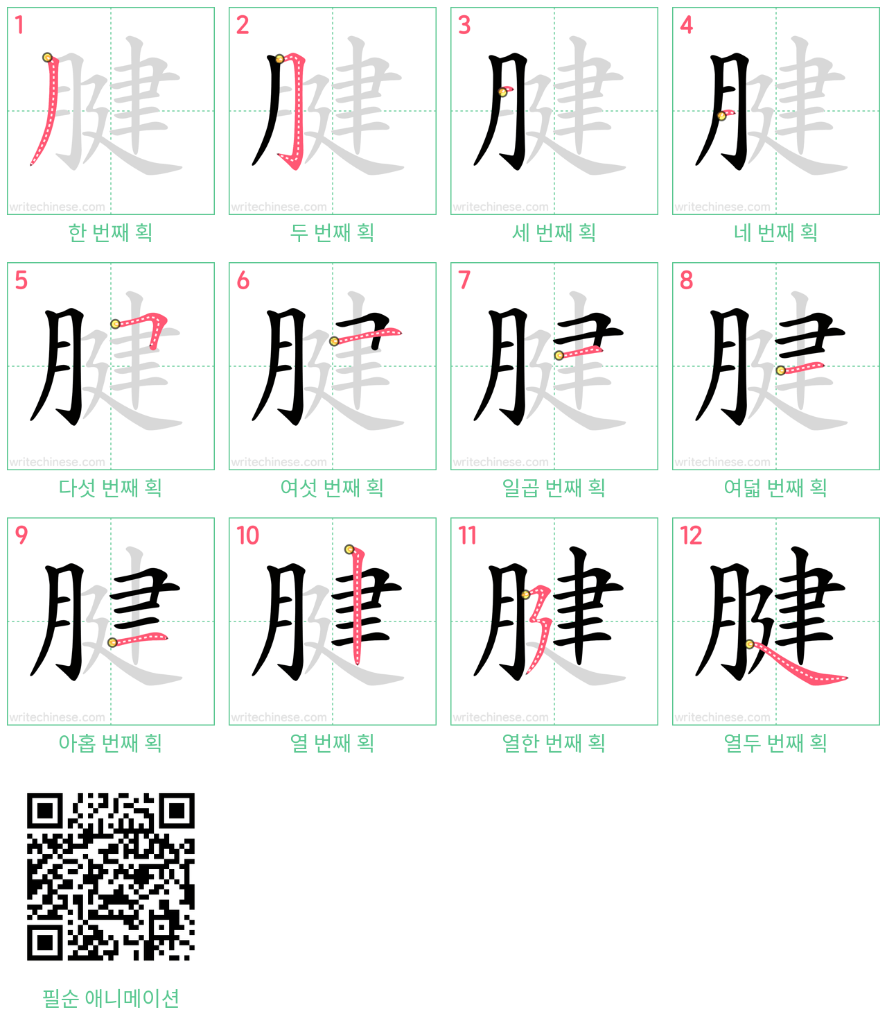 腱 step-by-step stroke order diagrams