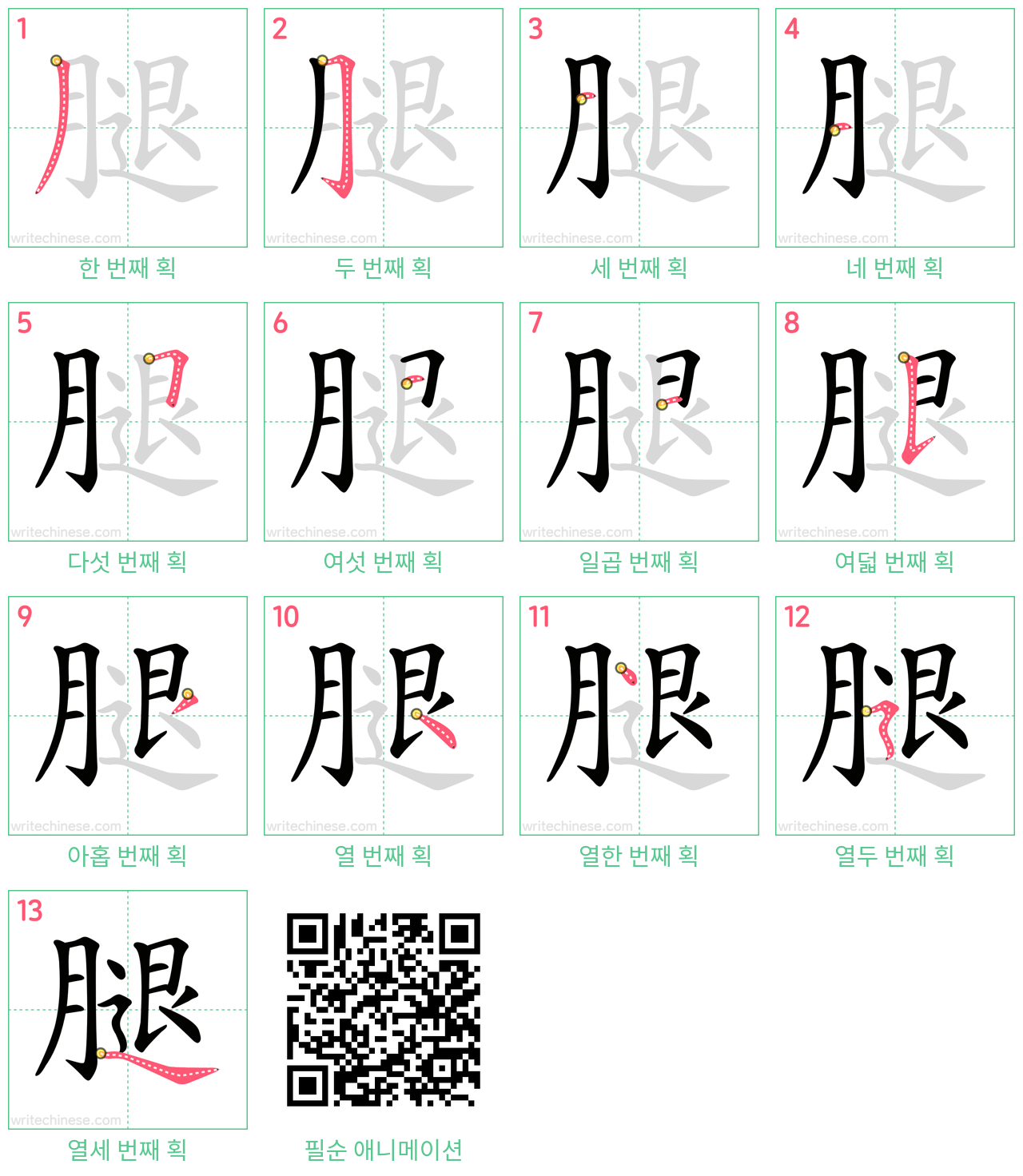 腿 step-by-step stroke order diagrams