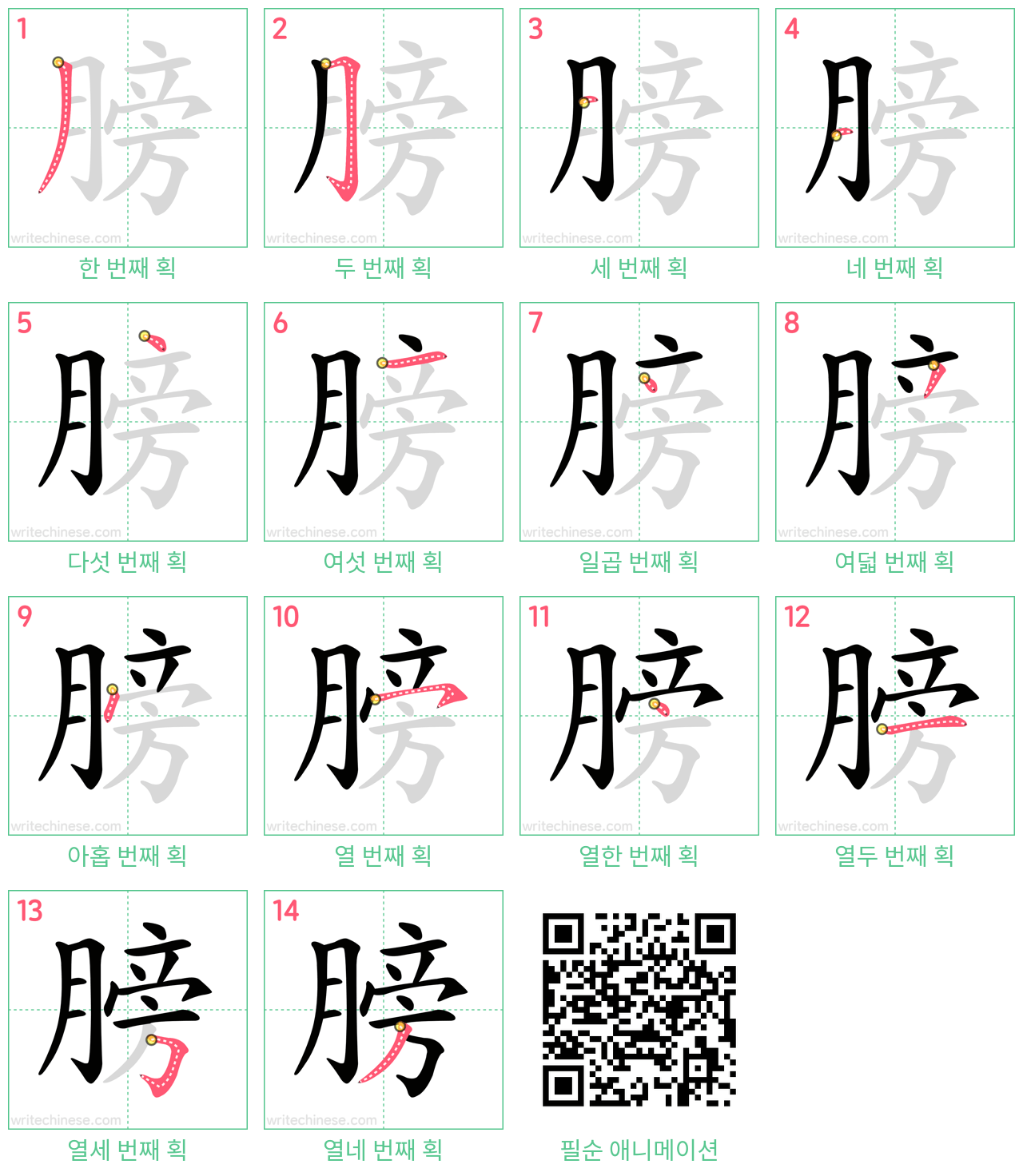 膀 step-by-step stroke order diagrams