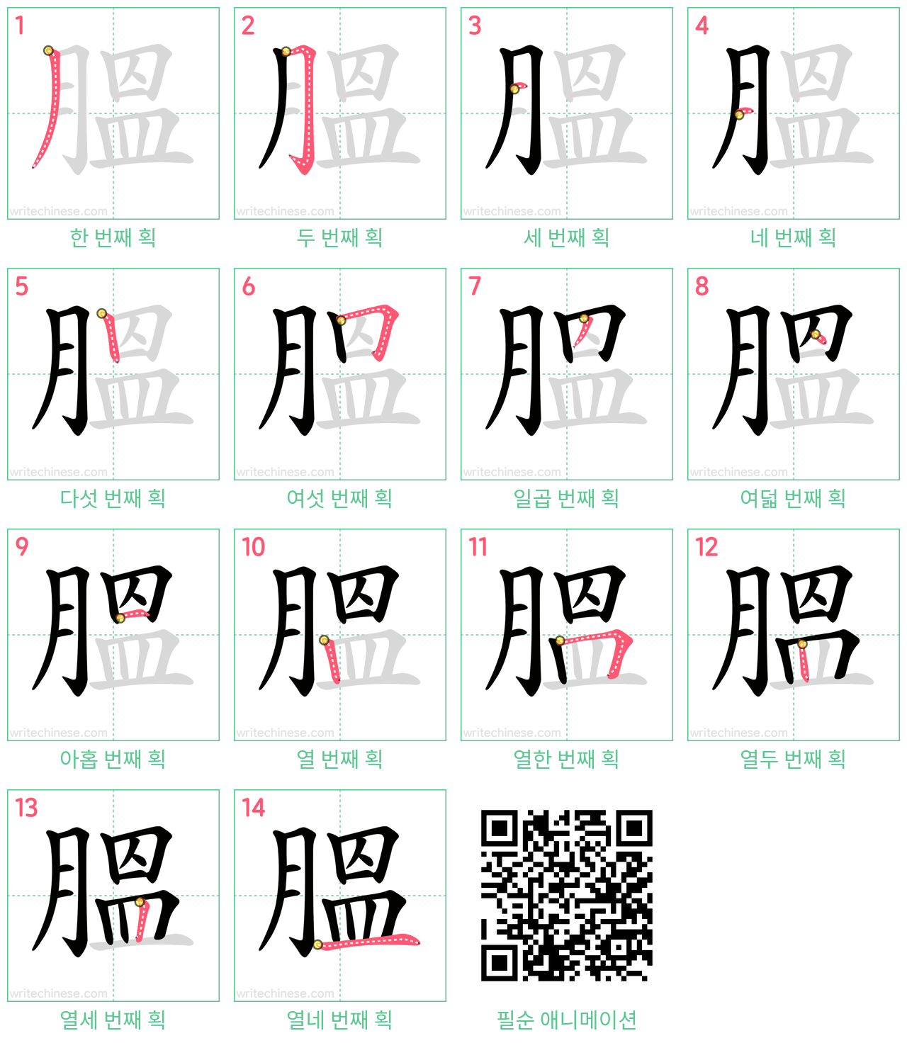 膃 step-by-step stroke order diagrams