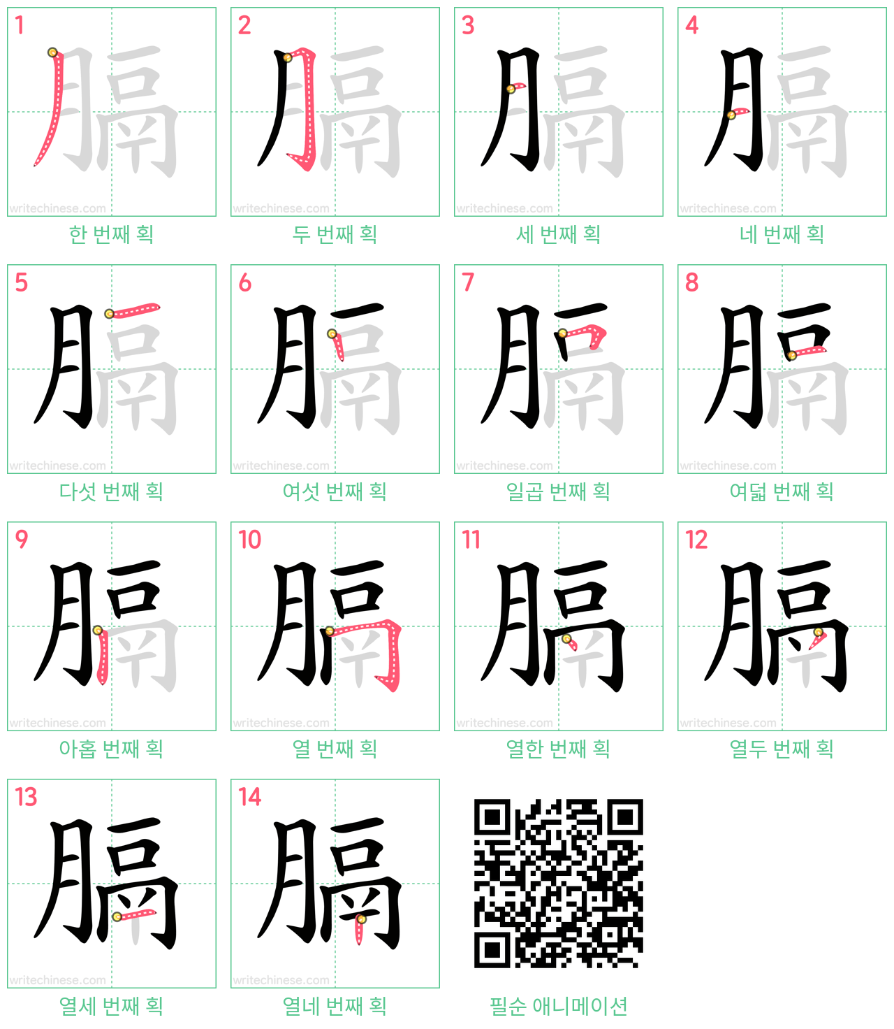 膈 step-by-step stroke order diagrams