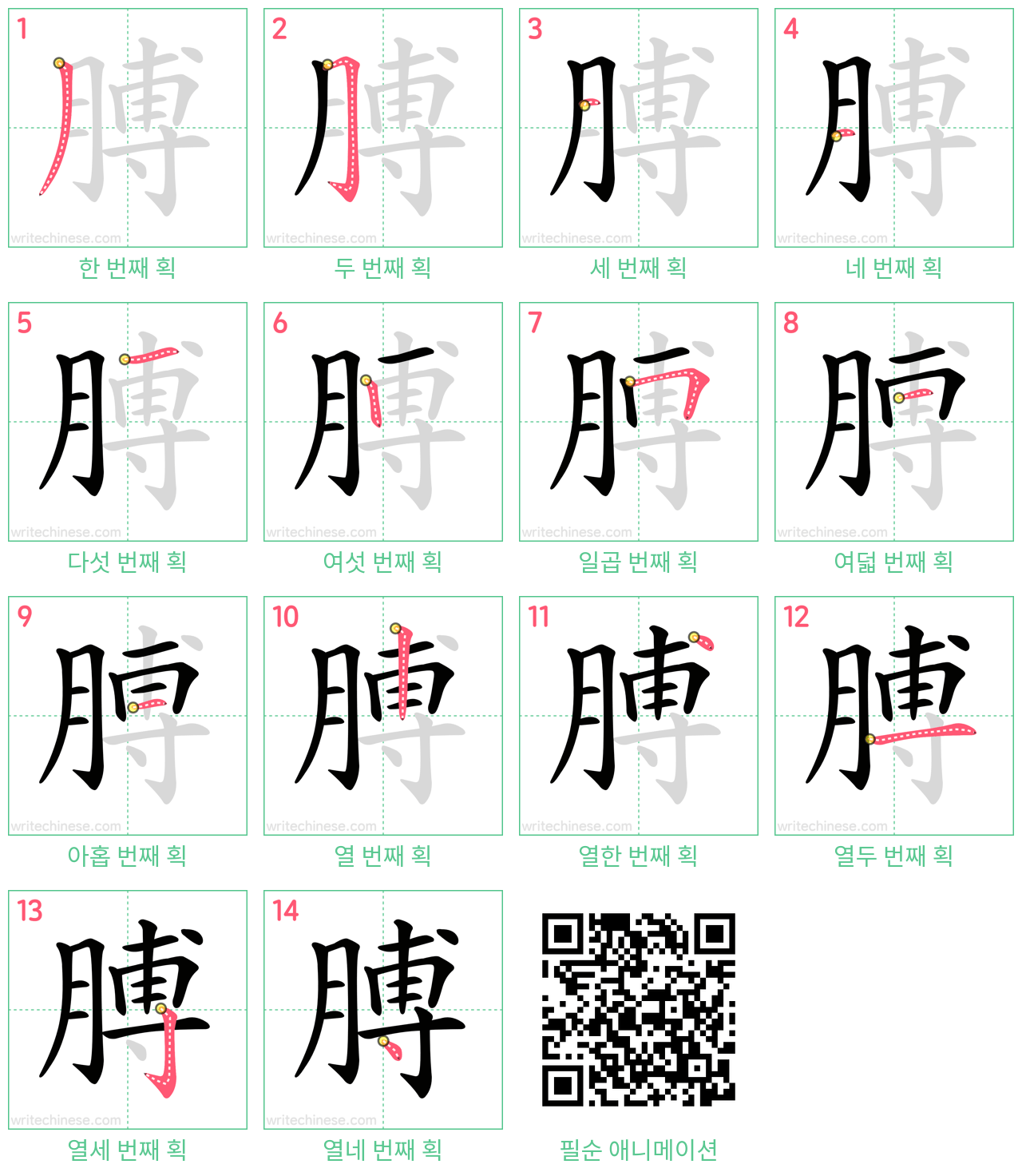 膊 step-by-step stroke order diagrams