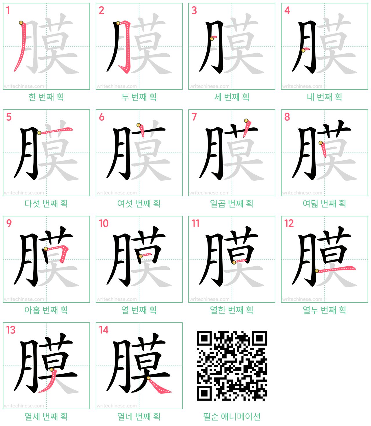 膜 step-by-step stroke order diagrams