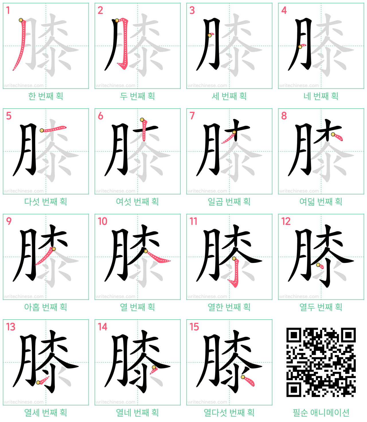 膝 step-by-step stroke order diagrams