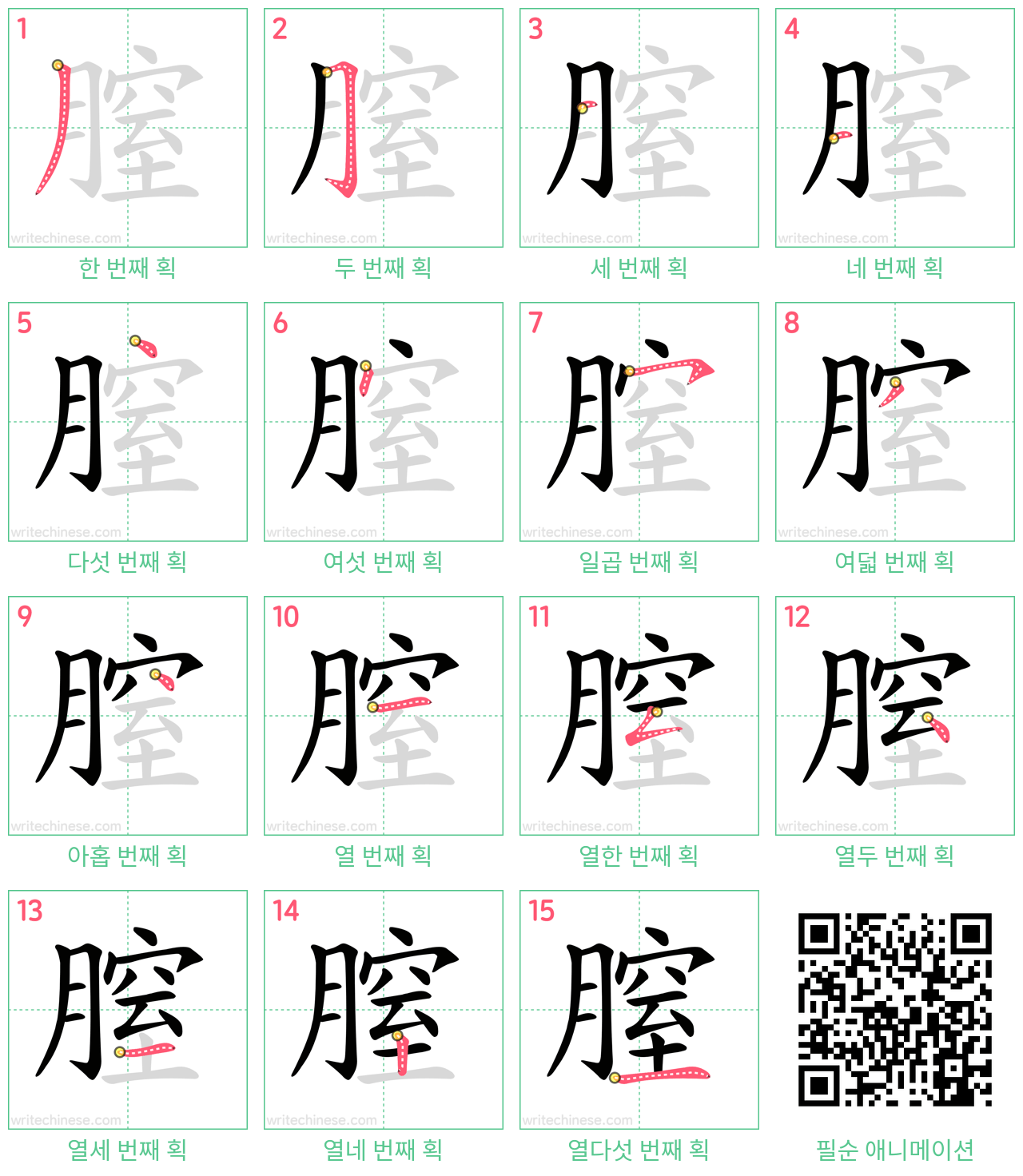 膣 step-by-step stroke order diagrams