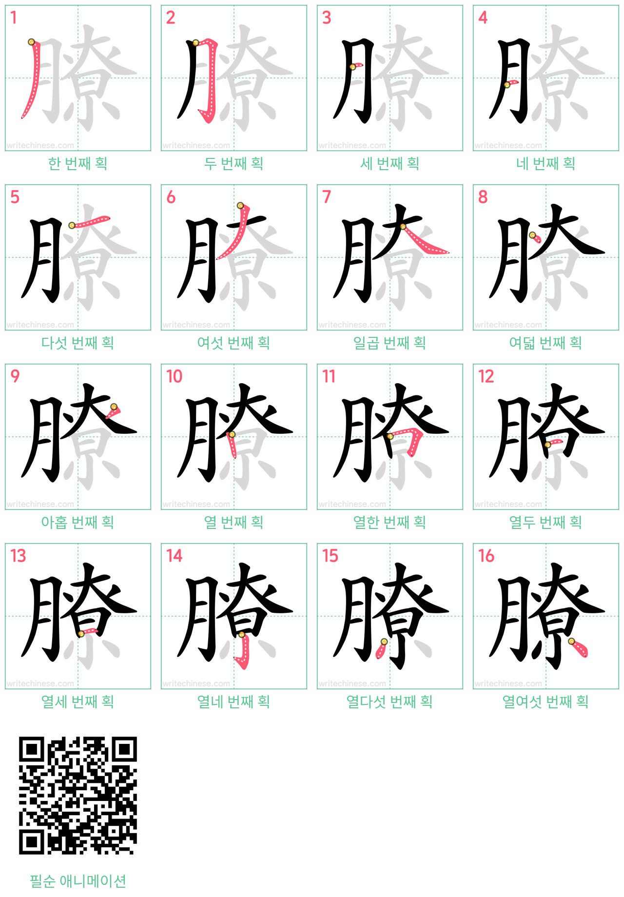 膫 step-by-step stroke order diagrams