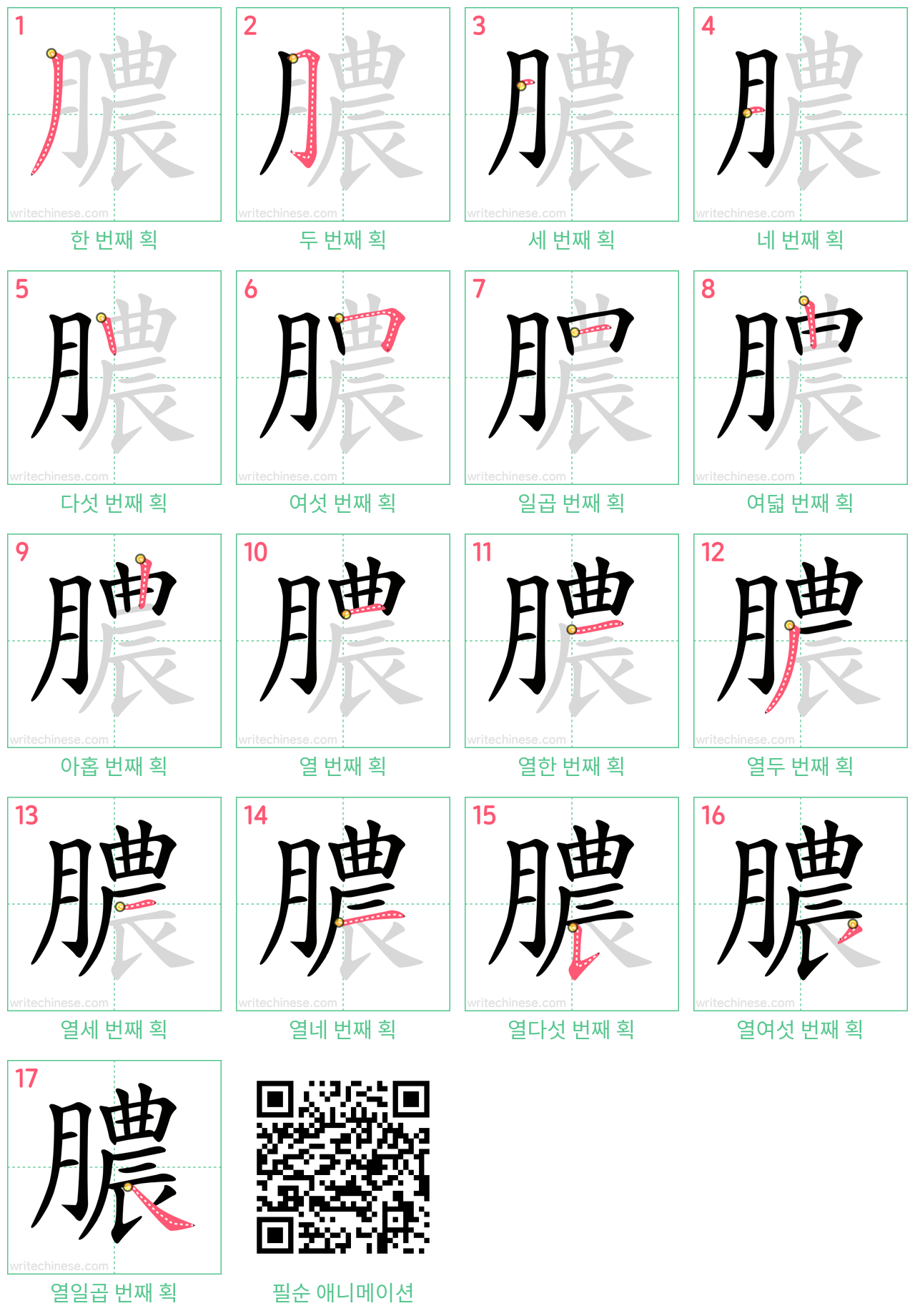 膿 step-by-step stroke order diagrams