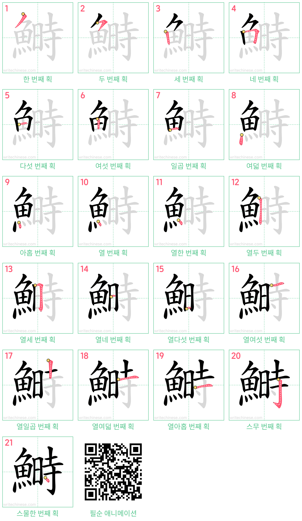 鰣 step-by-step stroke order diagrams