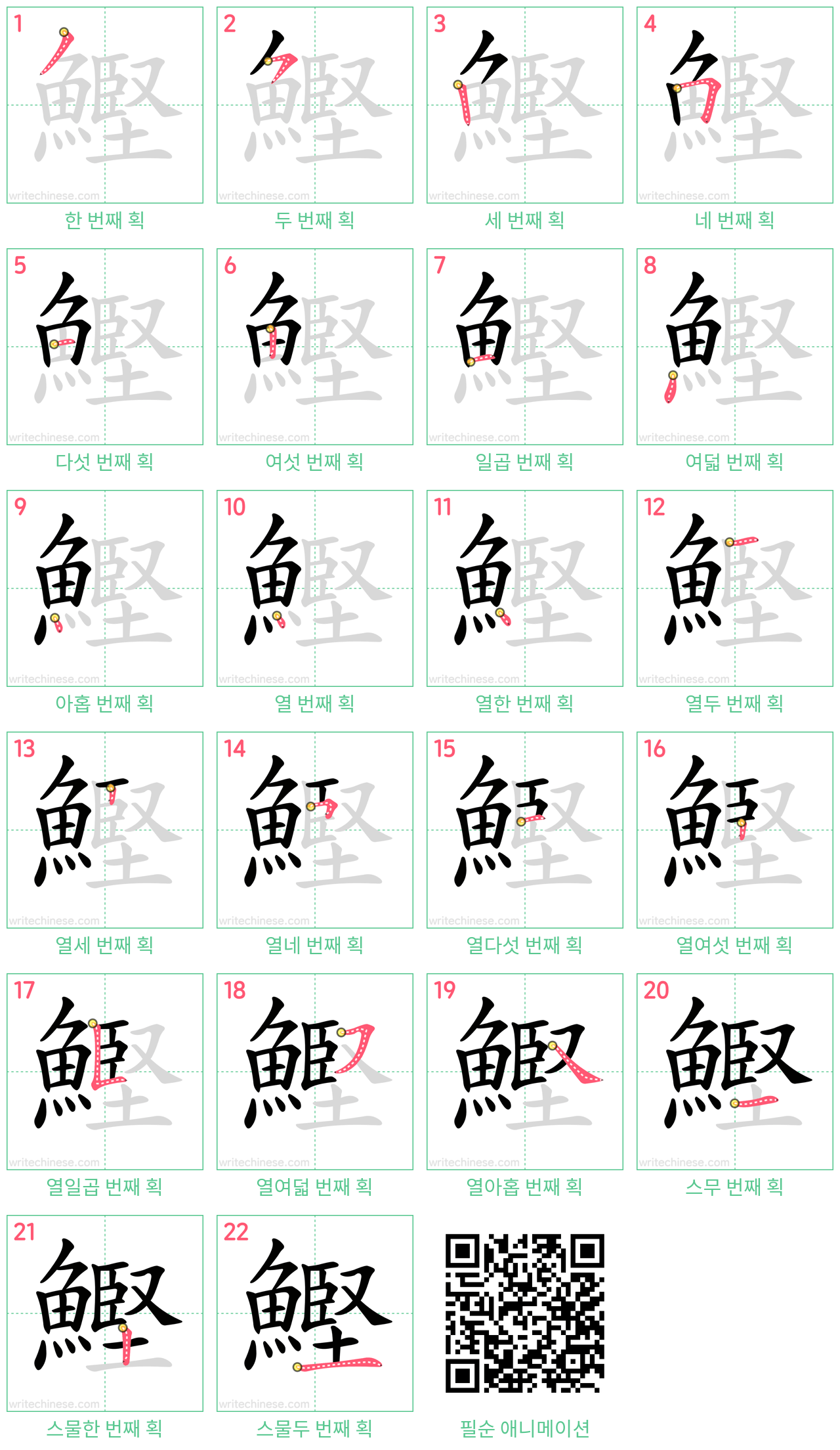 鰹 step-by-step stroke order diagrams