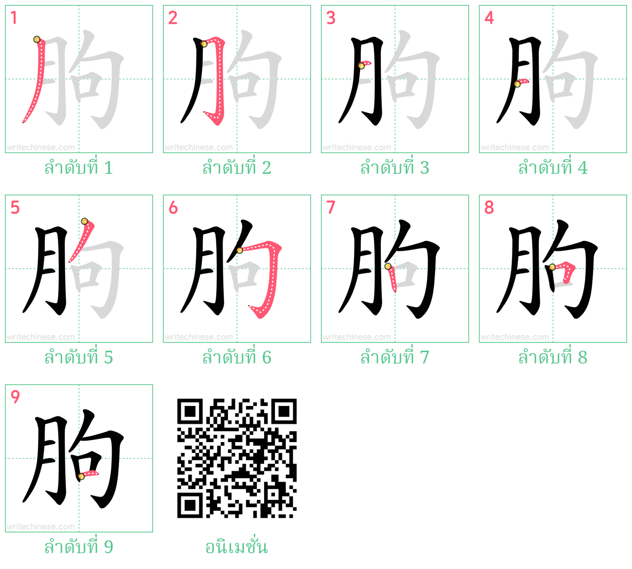 朐 ลำดับการเขียน