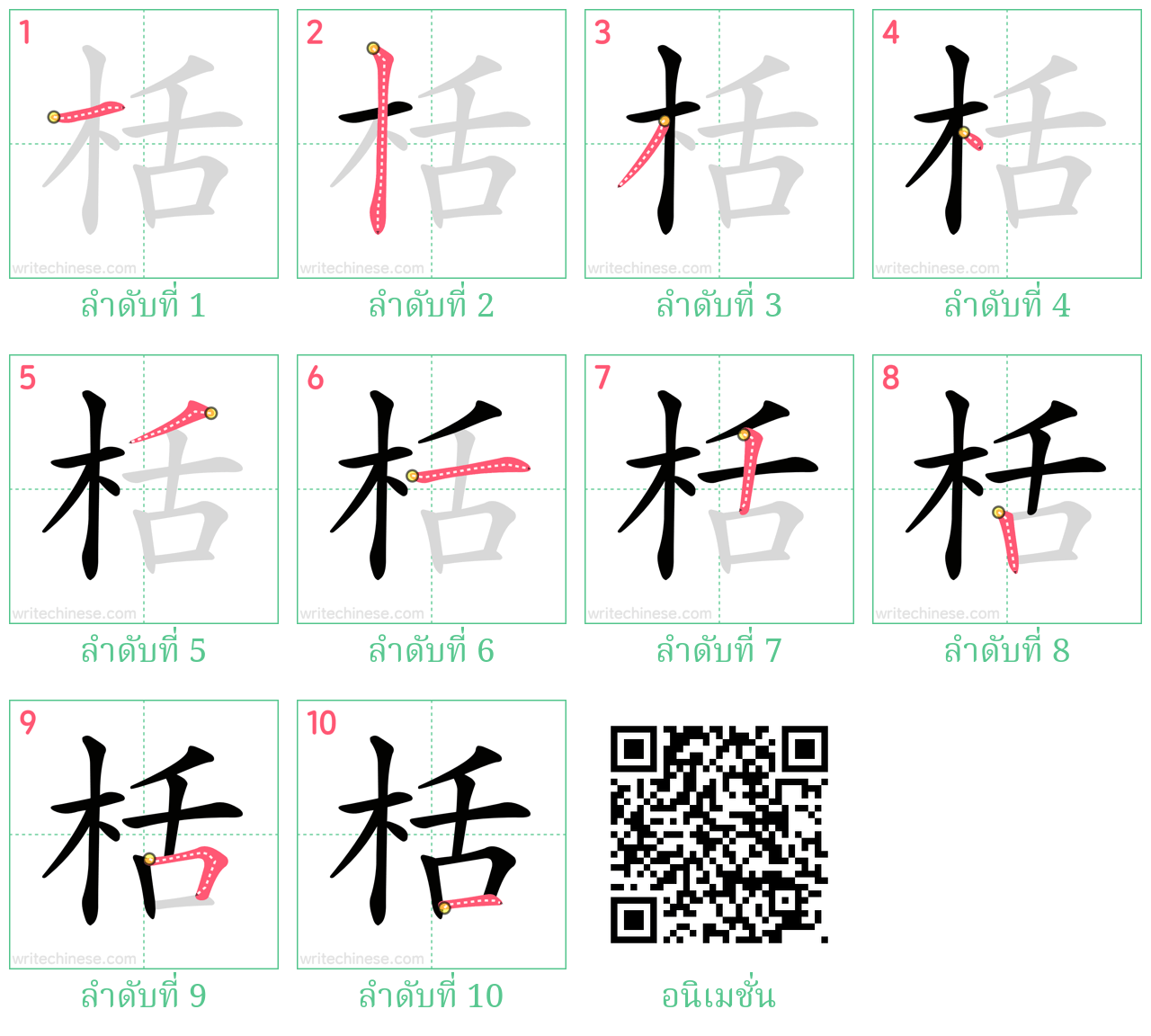 栝 ลำดับการเขียน