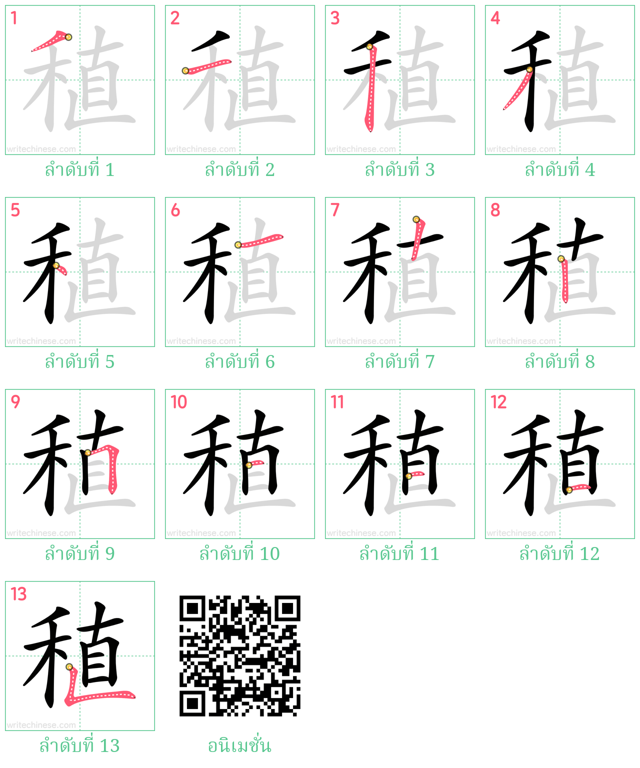 稙 ลำดับการเขียน