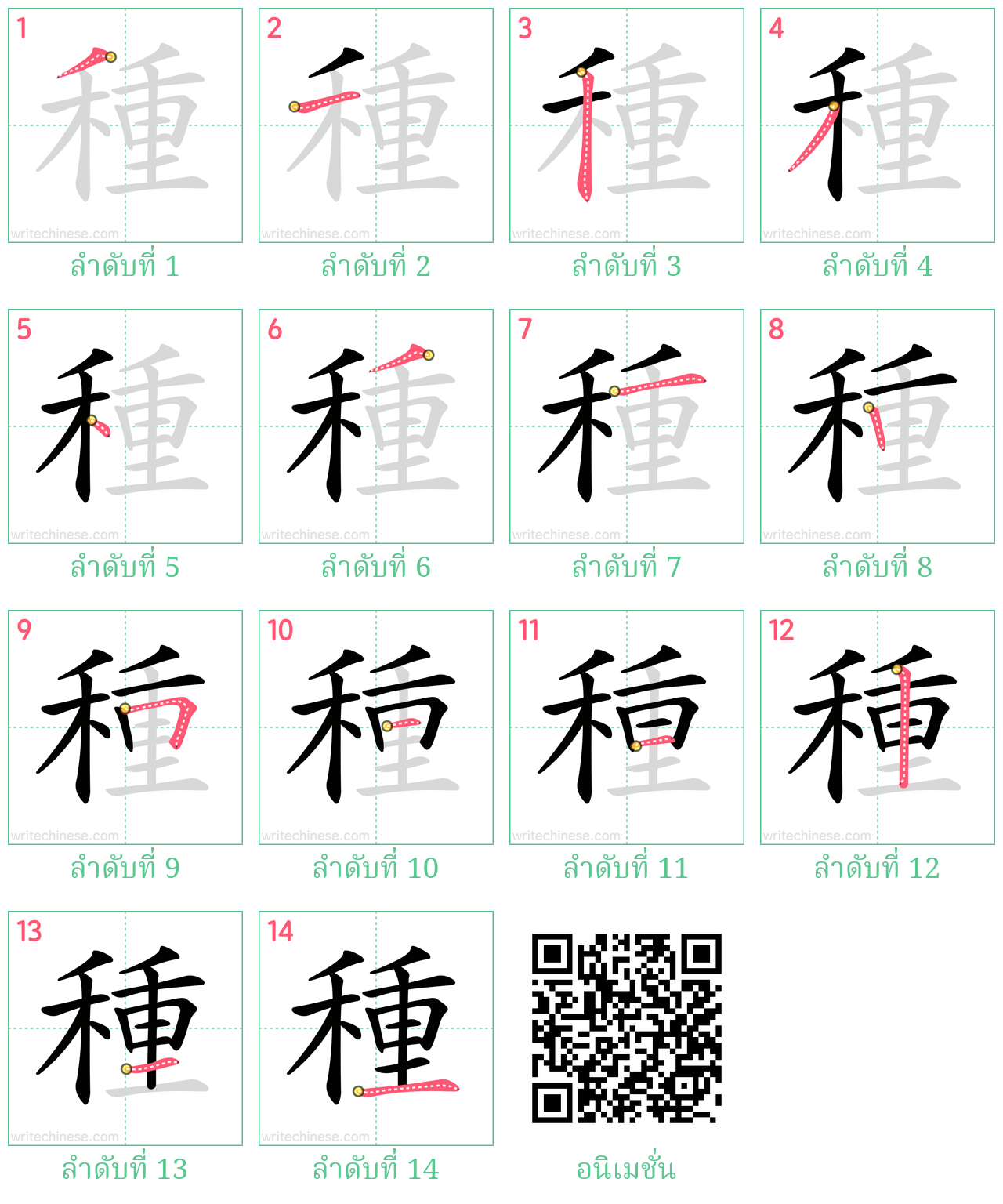 種 ลำดับการเขียน