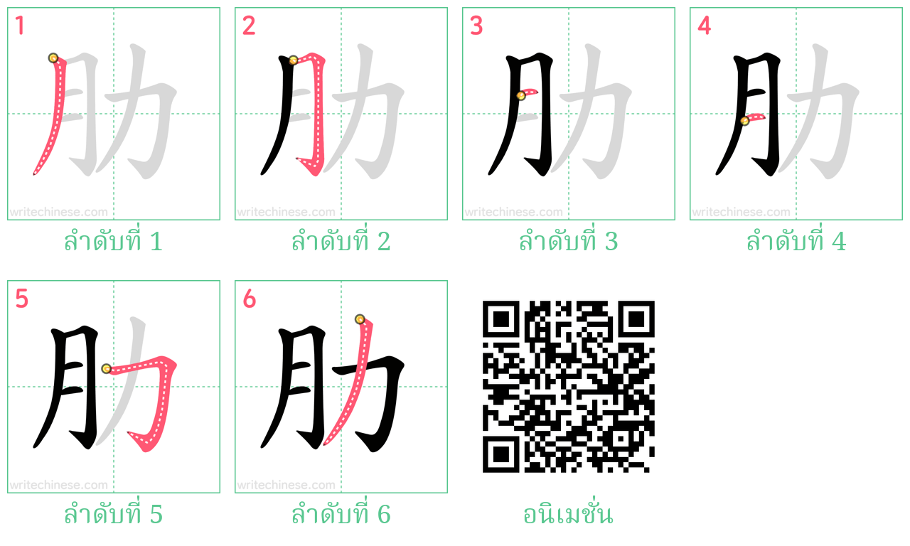 肋 ลำดับการเขียน