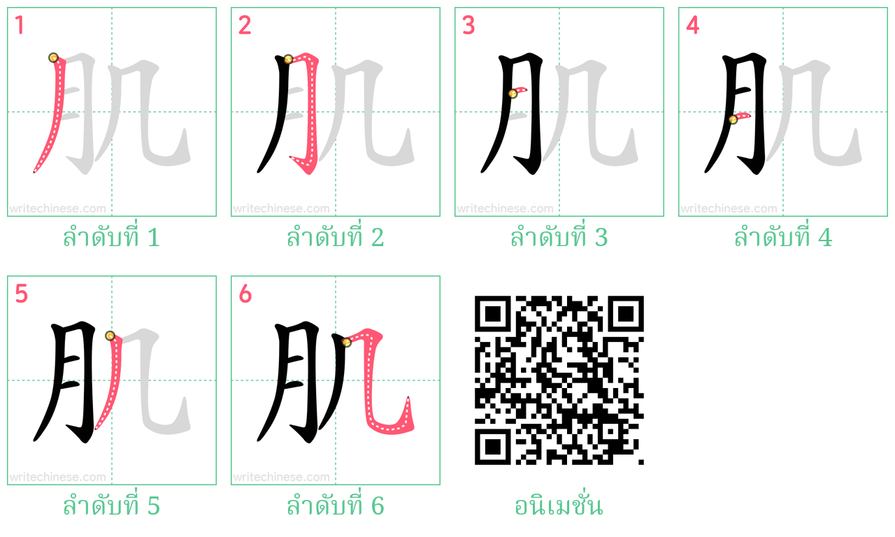 肌 ลำดับการเขียน