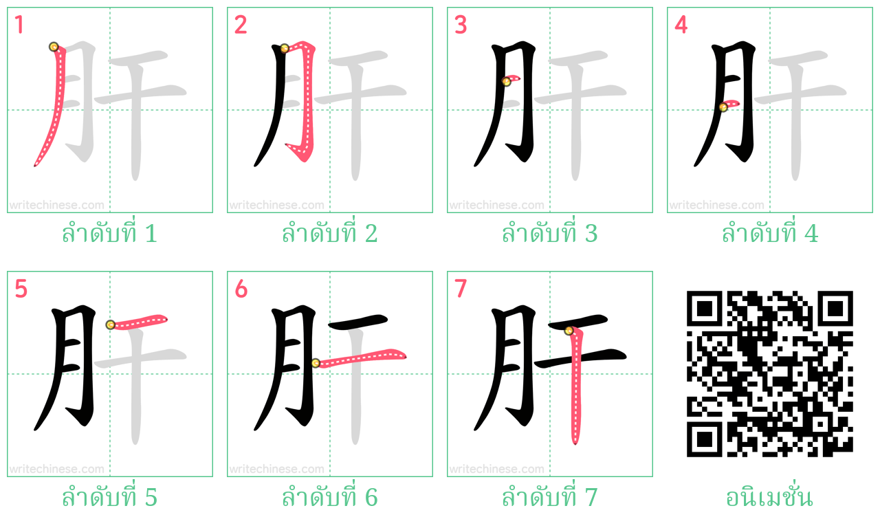 肝 ลำดับการเขียน