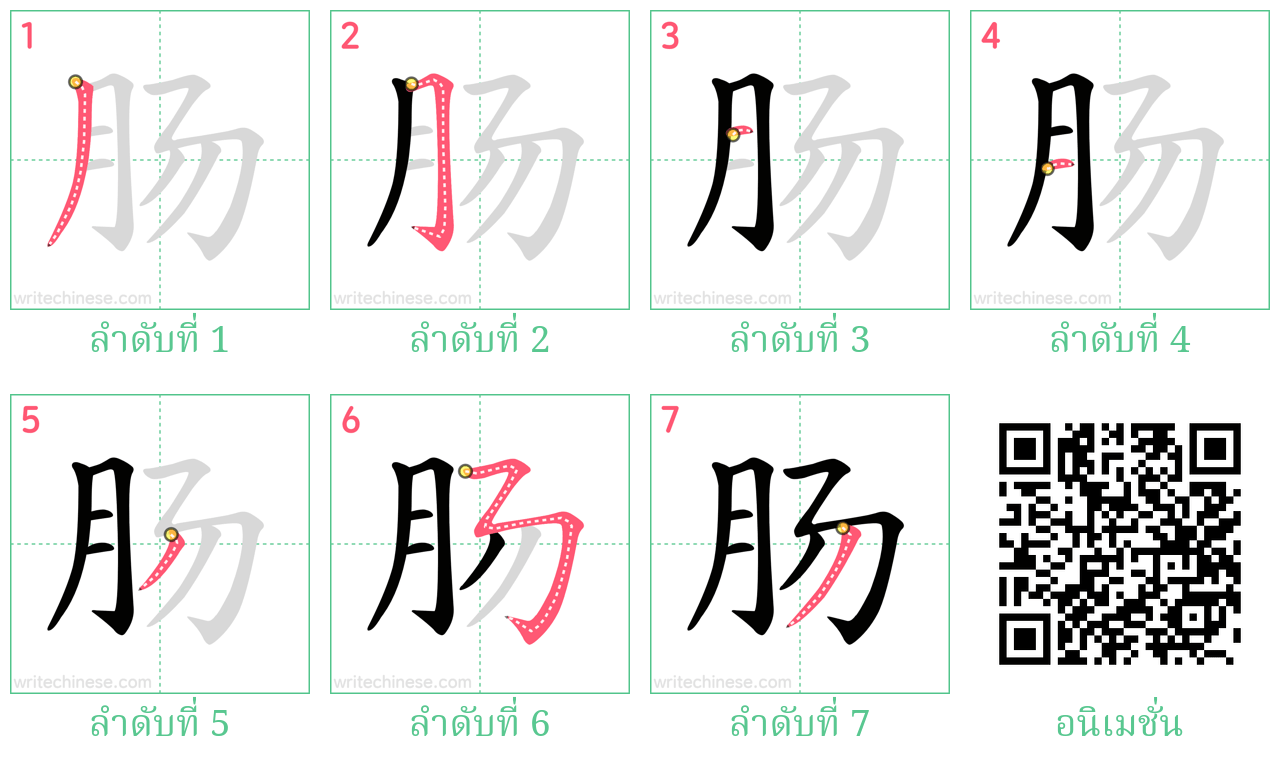 肠 ลำดับการเขียน