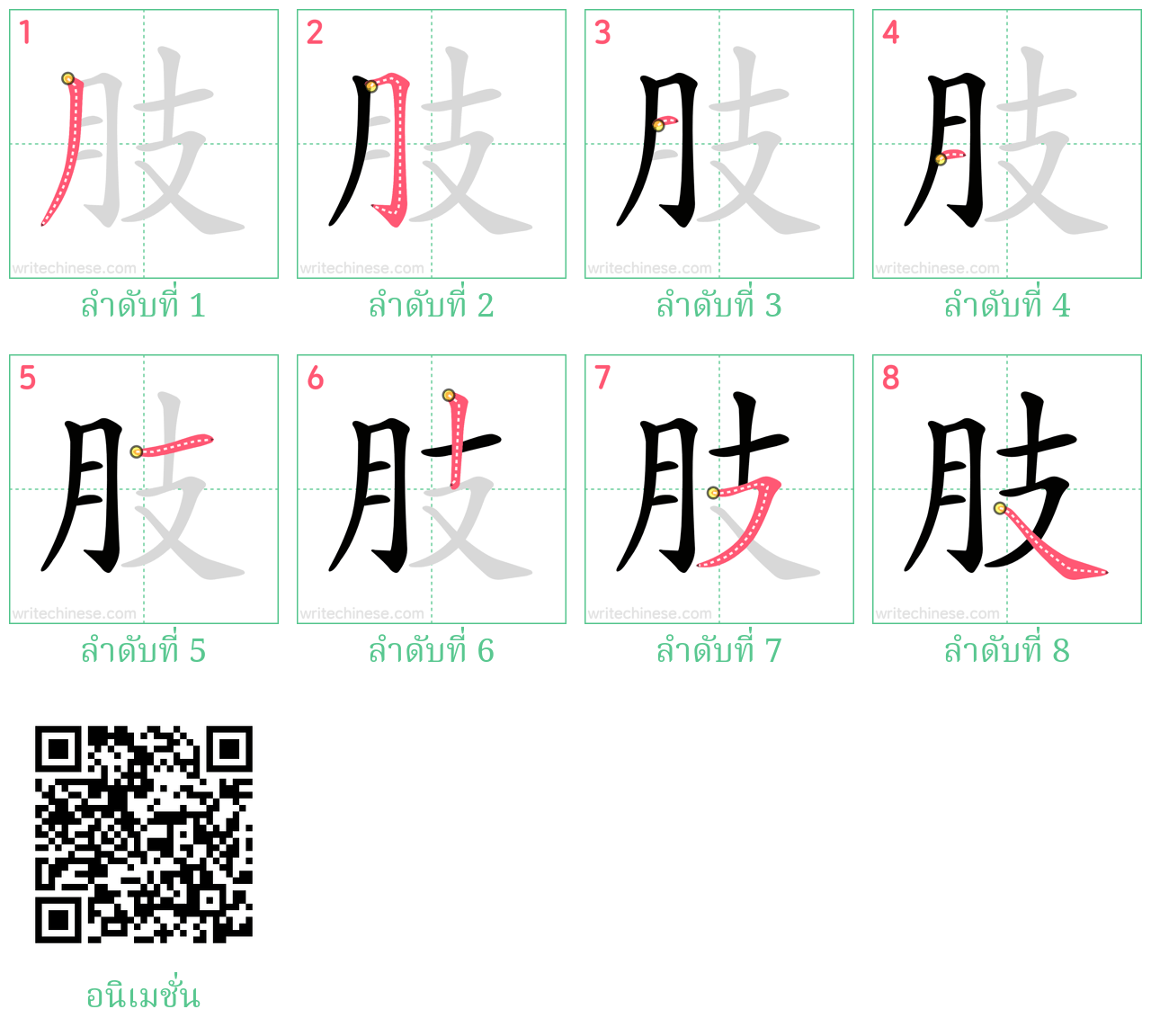 肢 ลำดับการเขียน