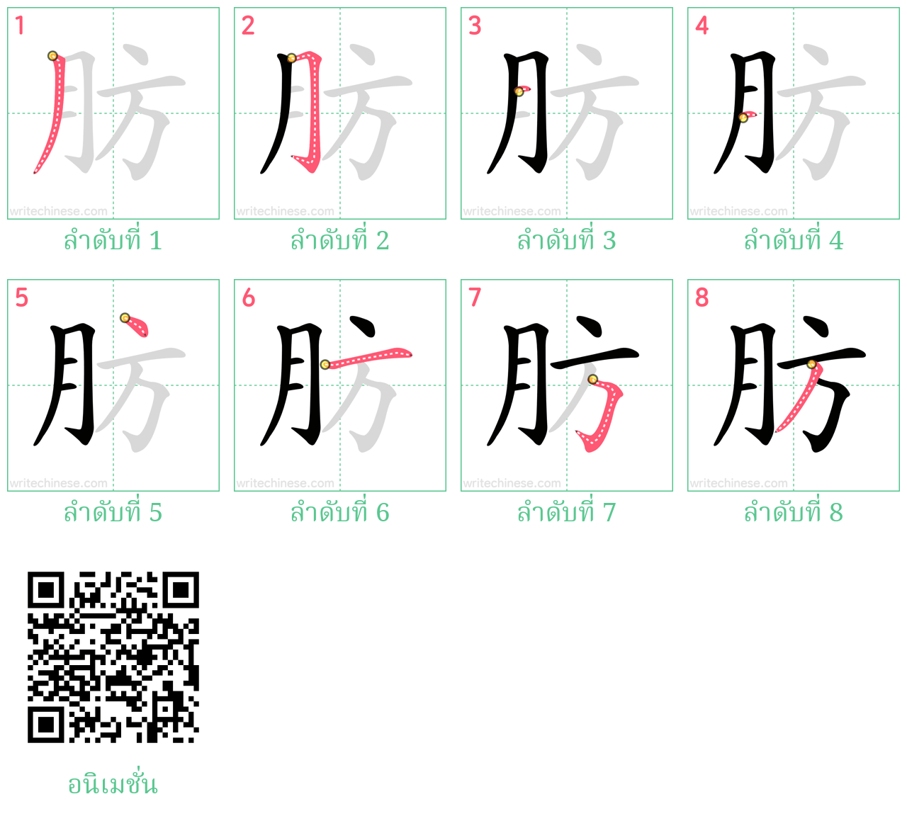 肪 ลำดับการเขียน