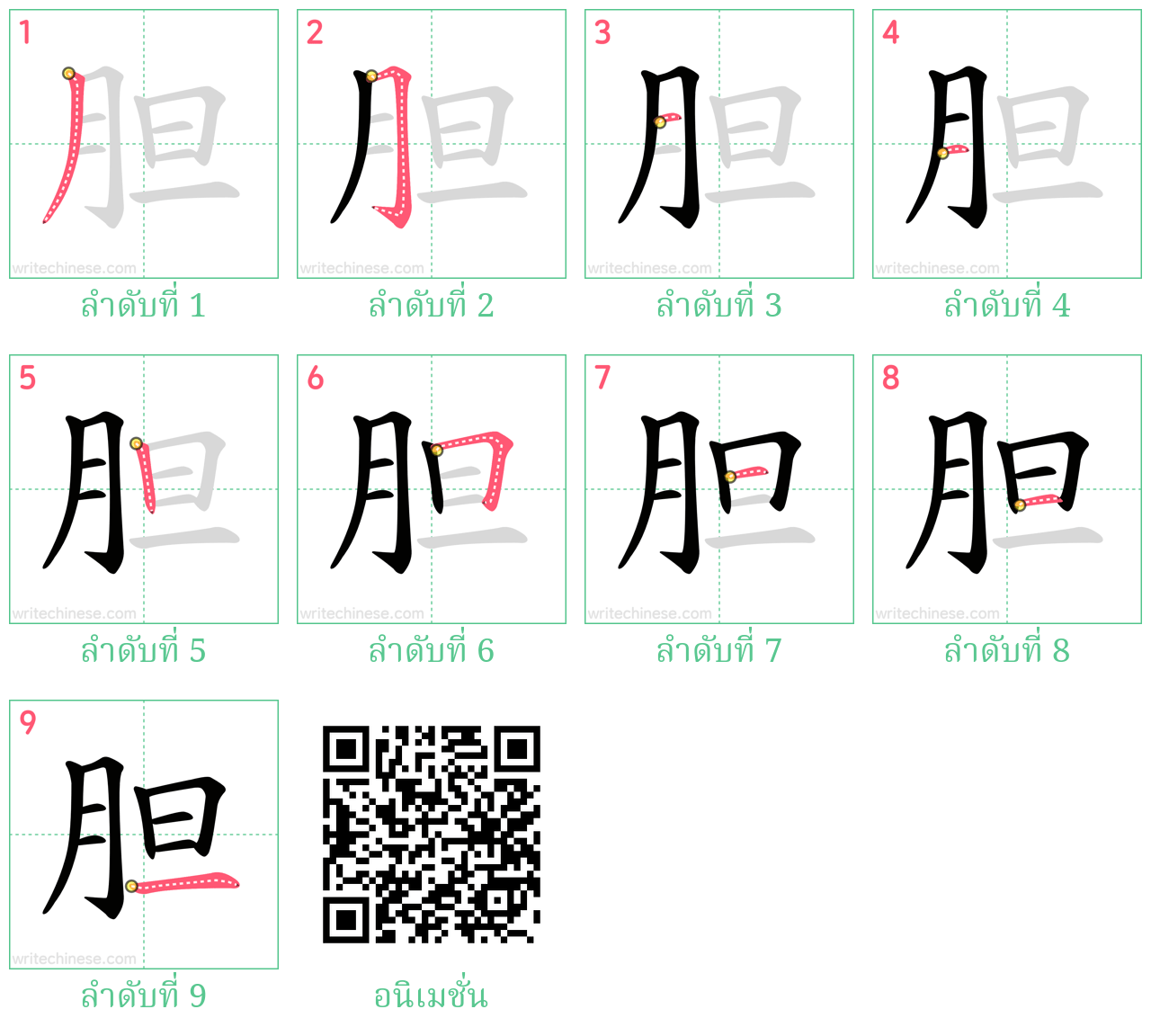 胆 ลำดับการเขียน