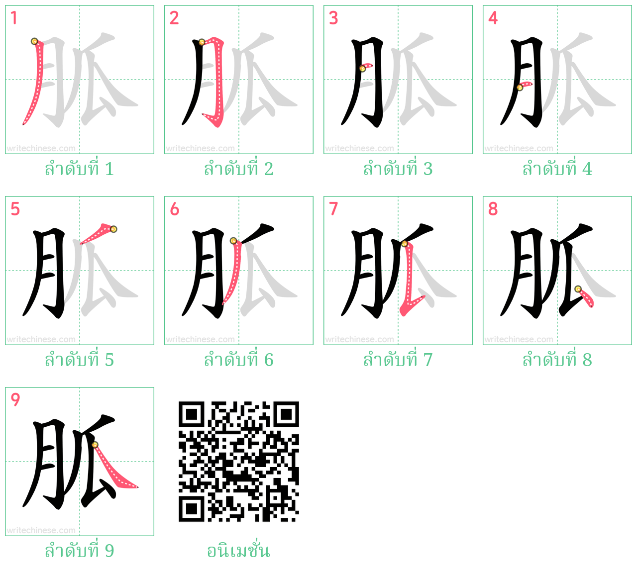 胍 ลำดับการเขียน