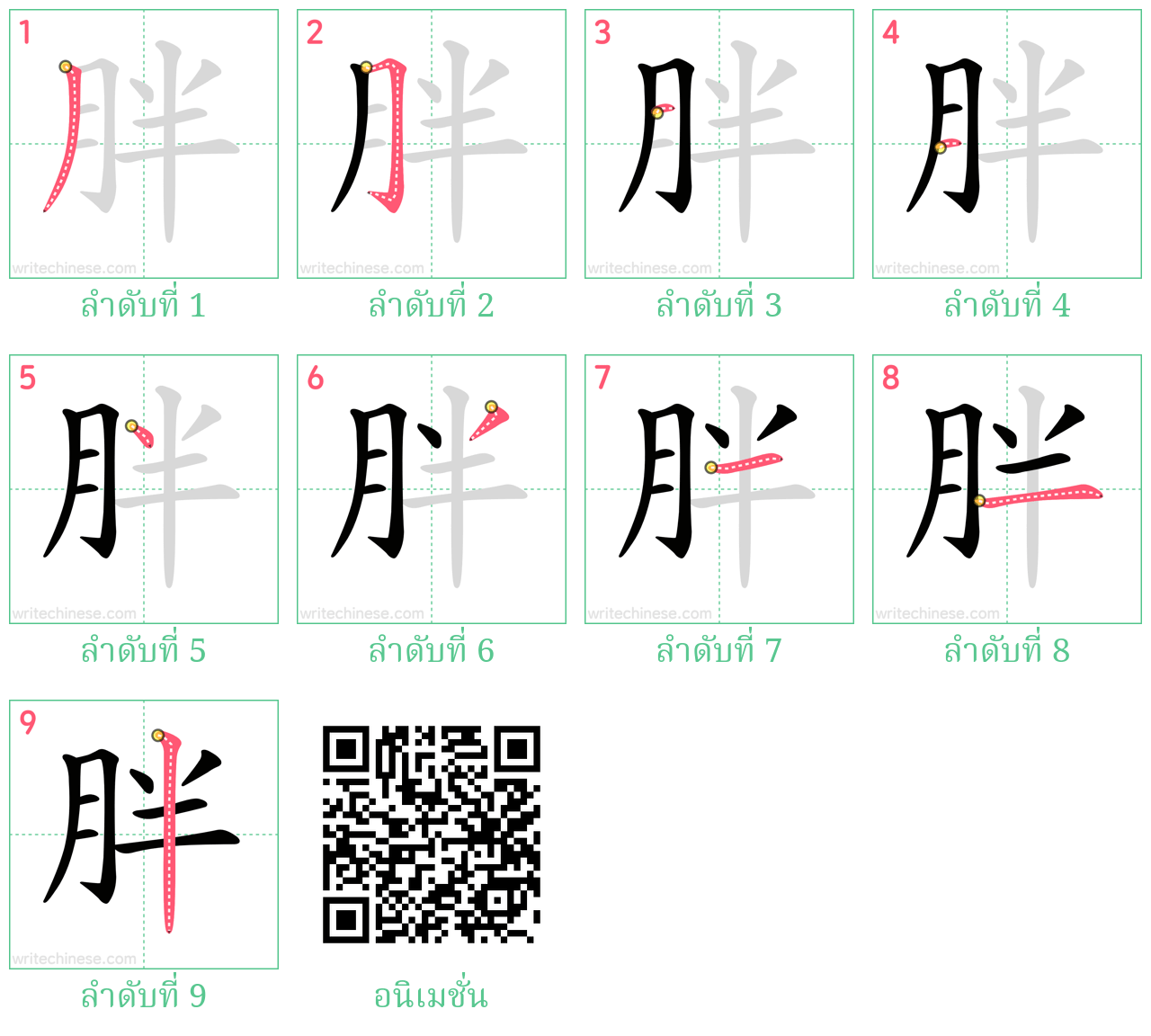 胖 ลำดับการเขียน