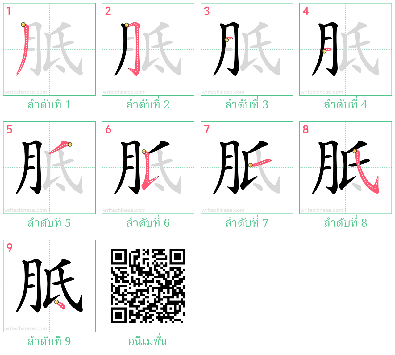 胝 ลำดับการเขียน