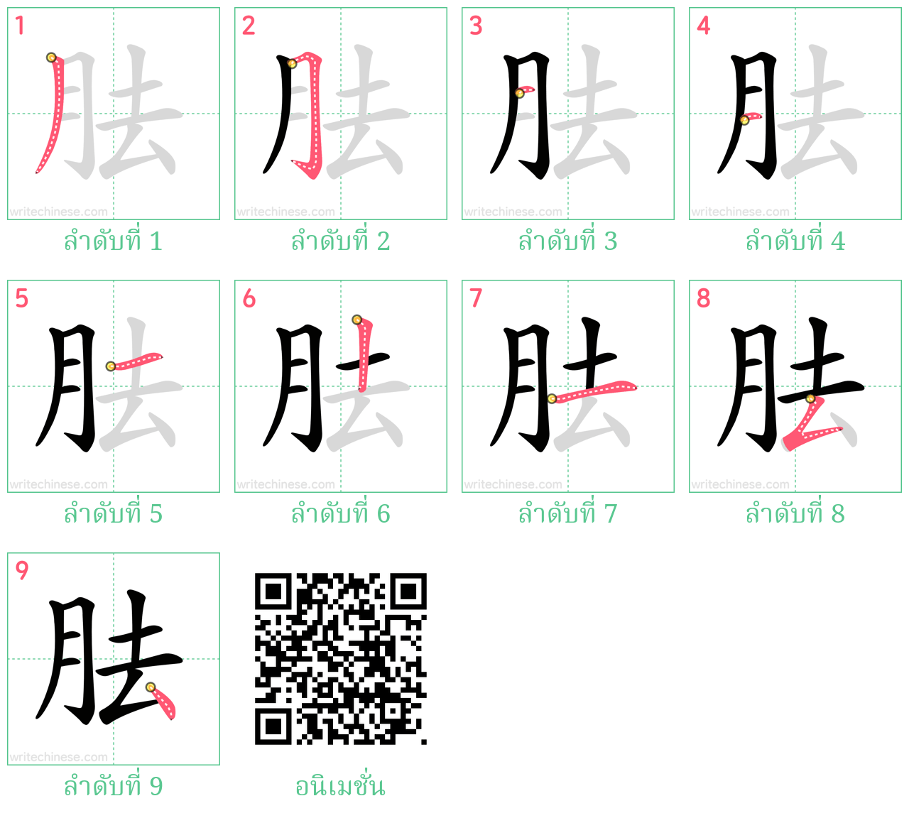 胠 ลำดับการเขียน