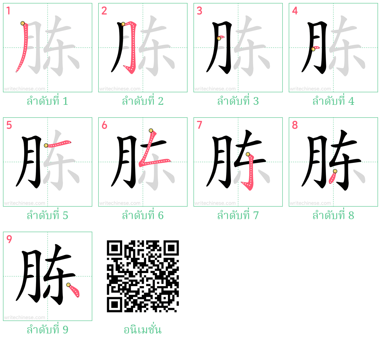 胨 ลำดับการเขียน