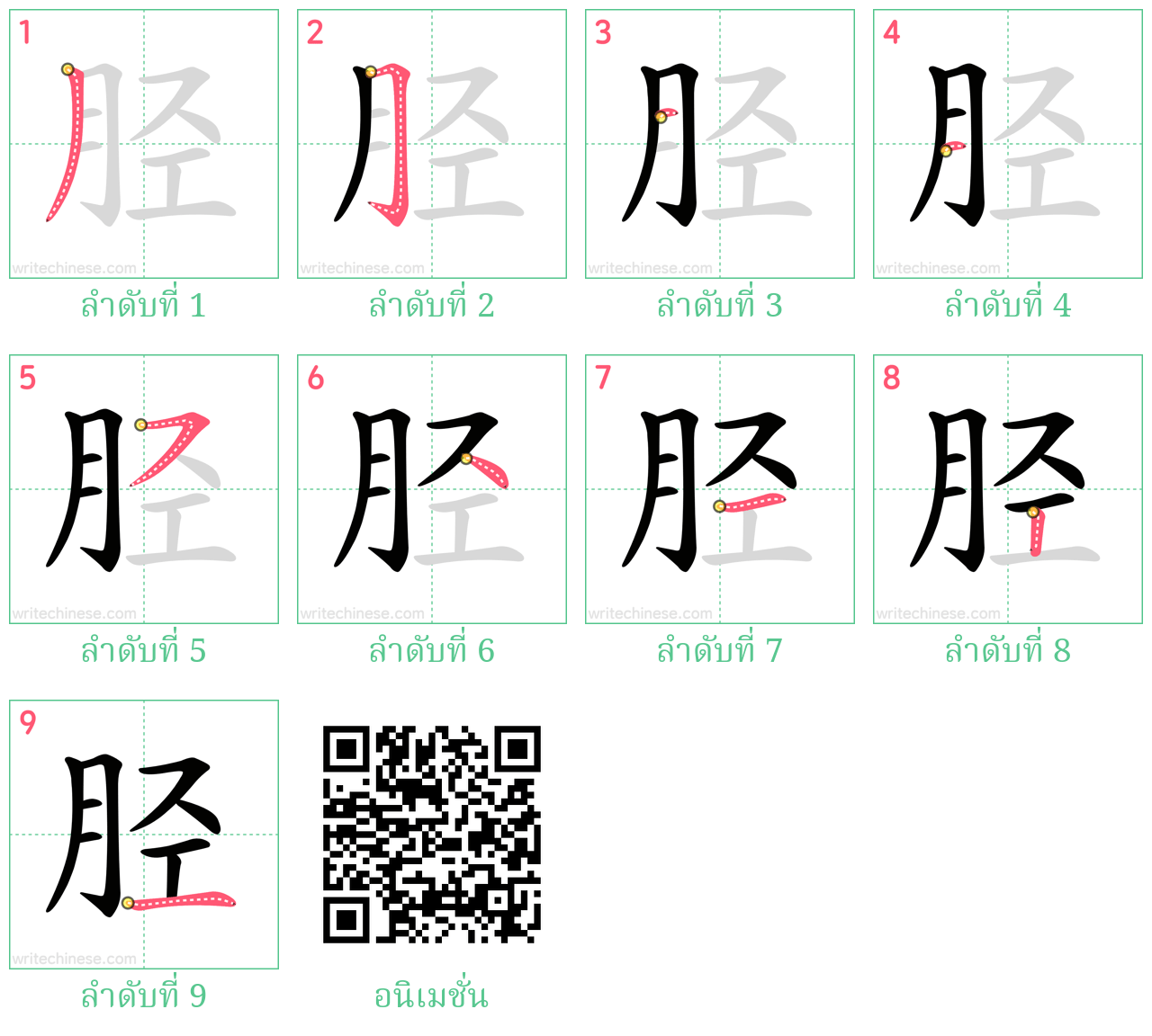 胫 ลำดับการเขียน