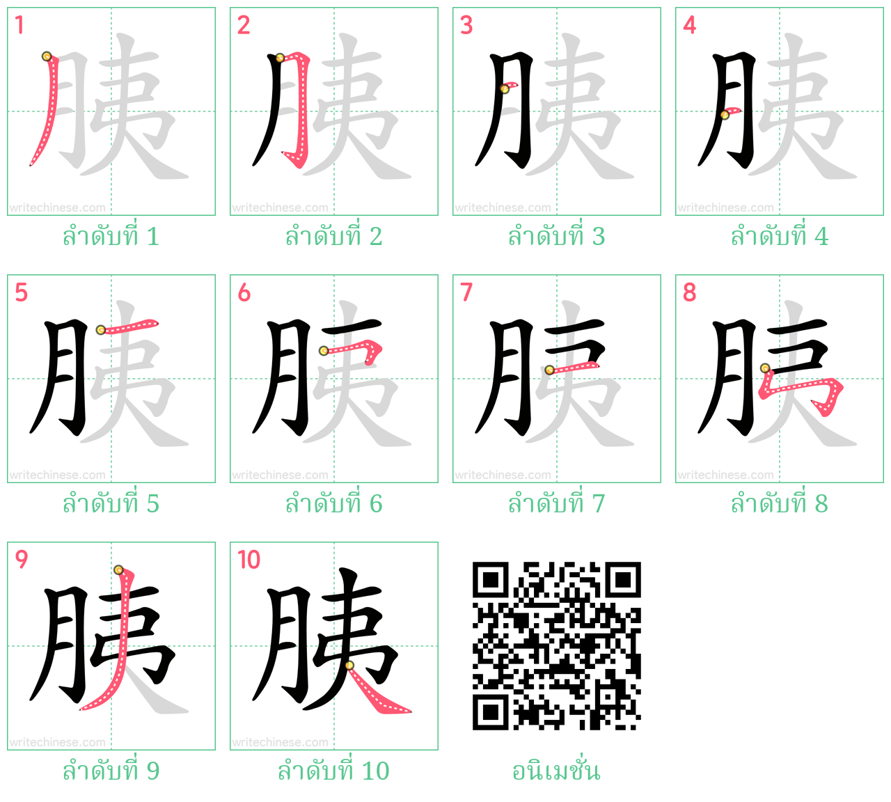 胰 ลำดับการเขียน