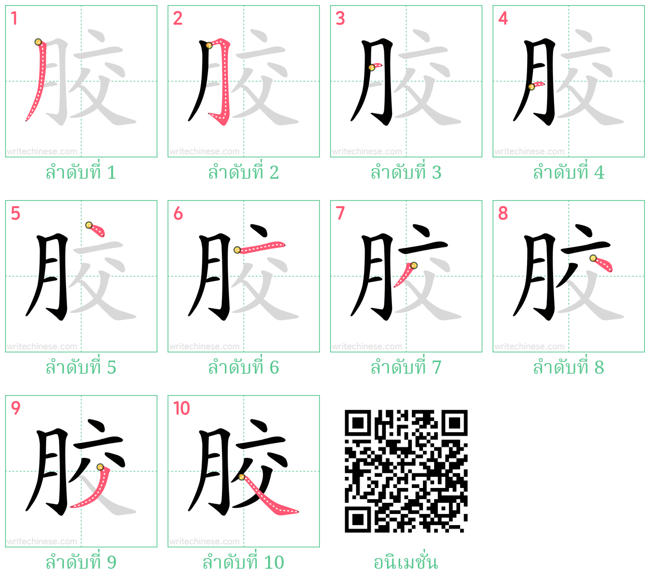 胶 ลำดับการเขียน