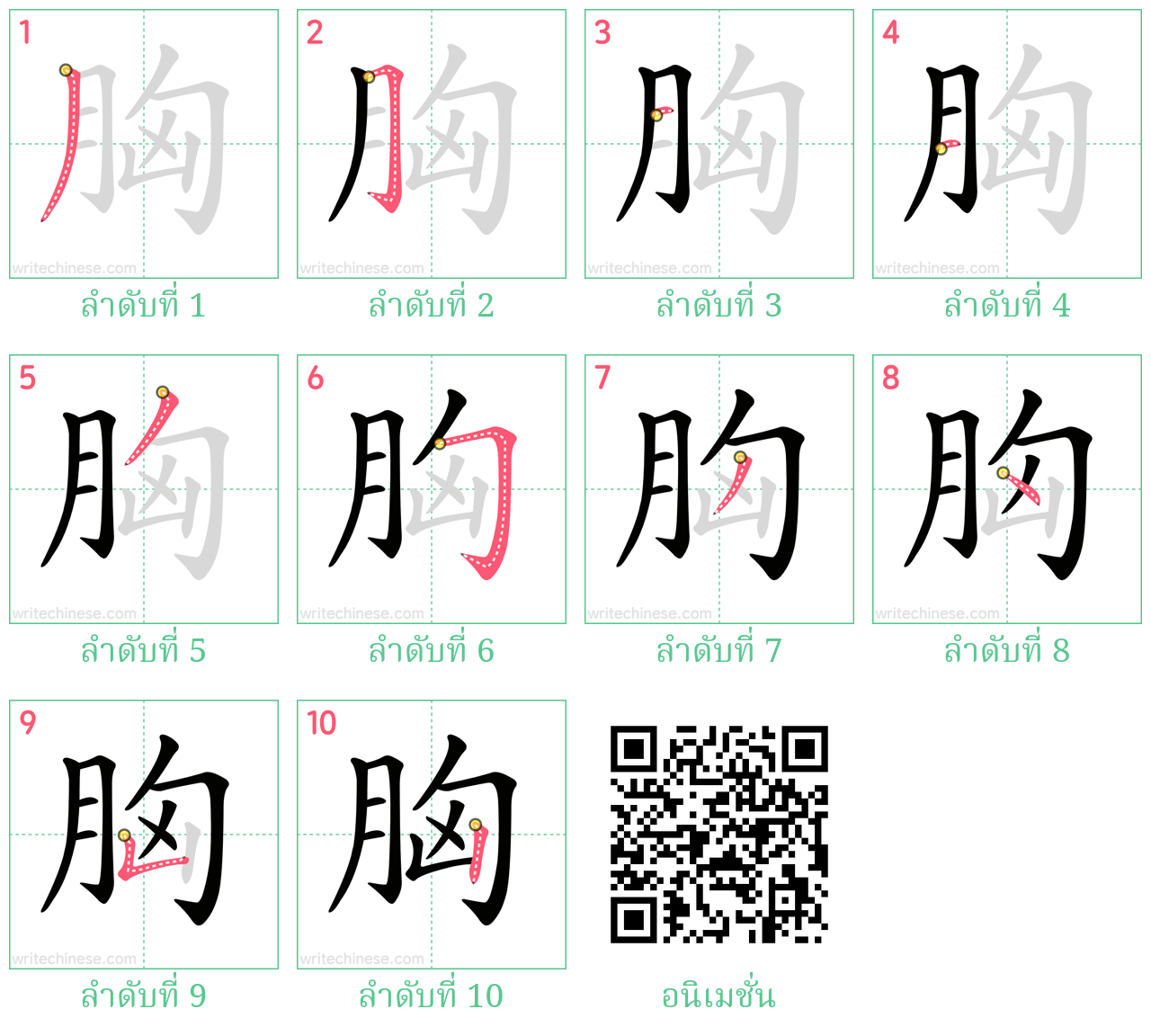 胸 ลำดับการเขียน