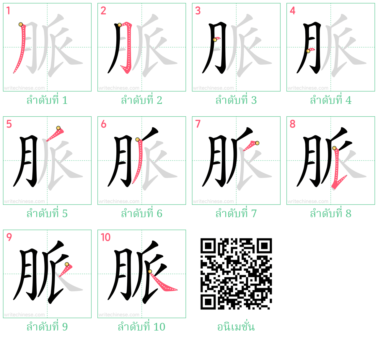 脈 ลำดับการเขียน