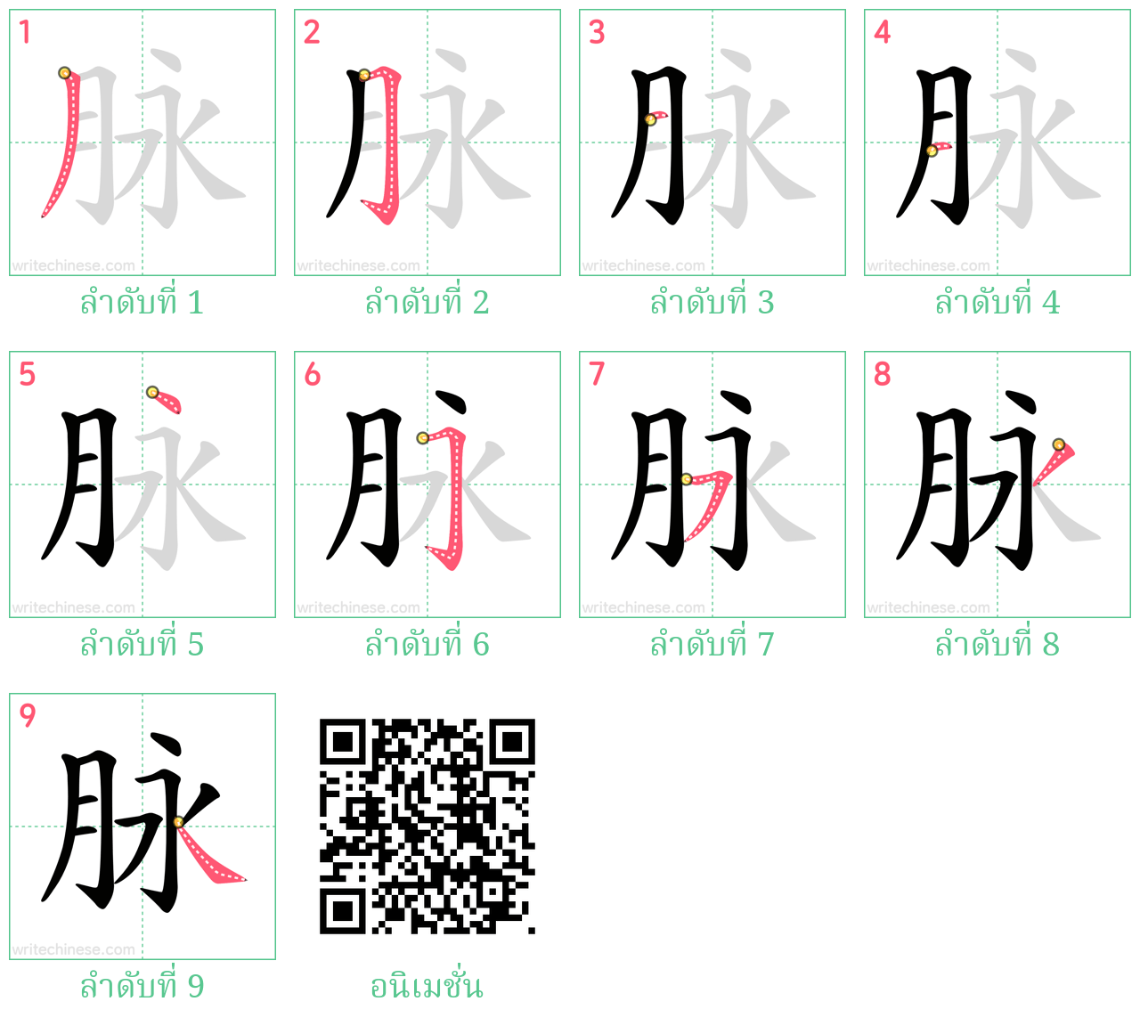 脉 ลำดับการเขียน