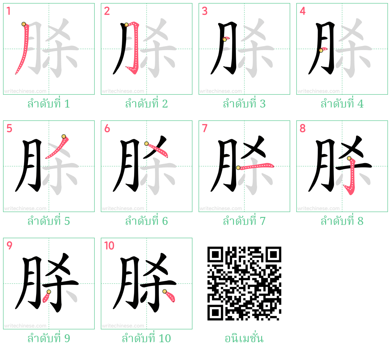 脎 ลำดับการเขียน