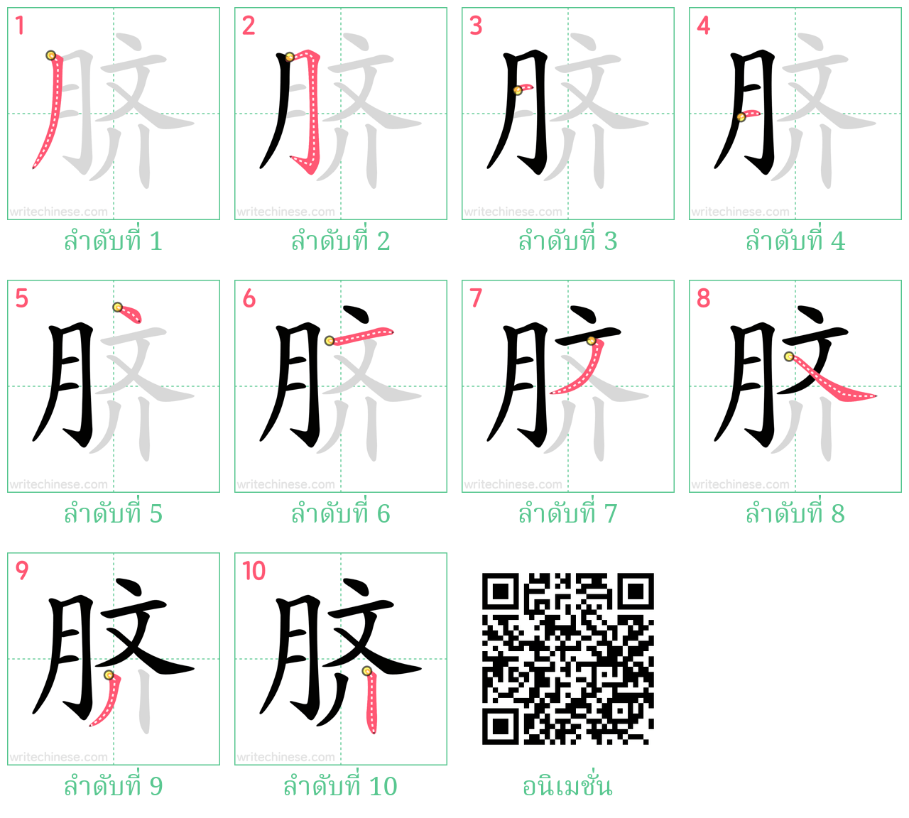 脐 ลำดับการเขียน