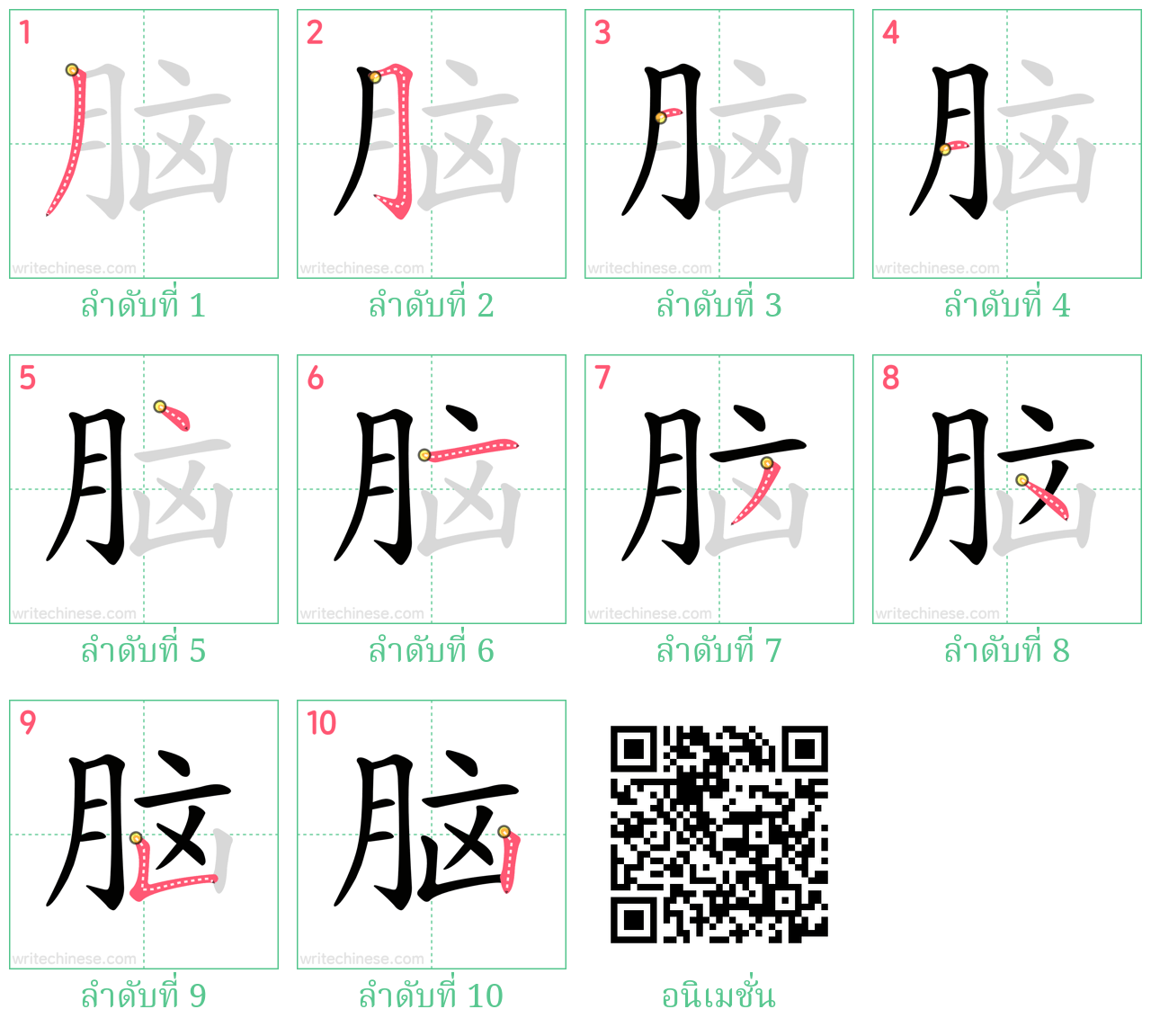 脑 ลำดับการเขียน