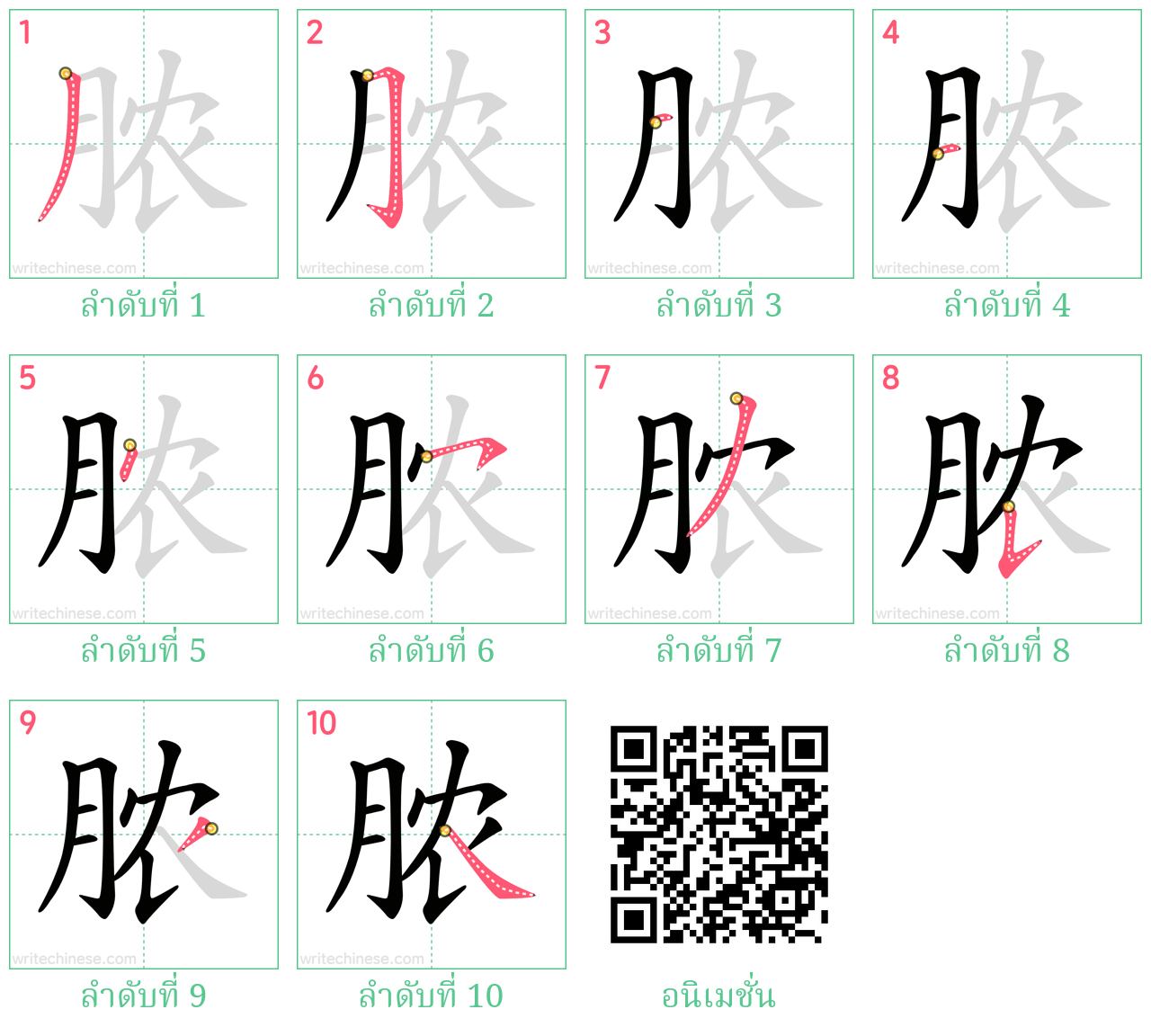 脓 ลำดับการเขียน