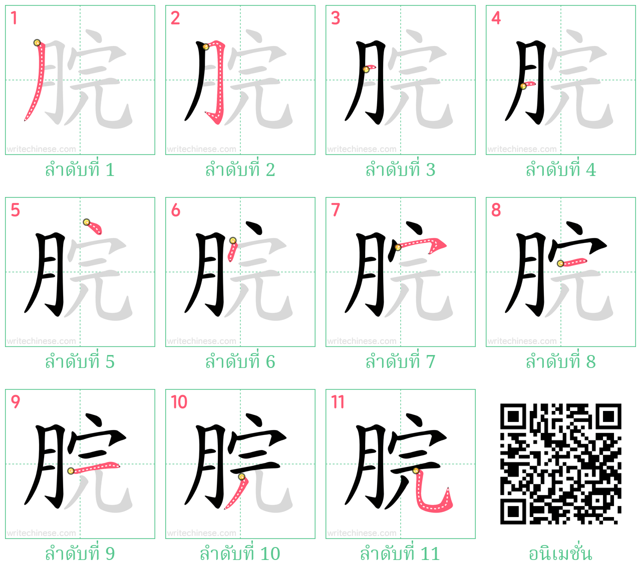 脘 ลำดับการเขียน