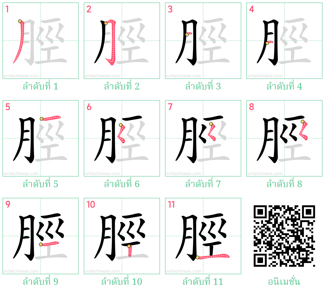 脛 ลำดับการเขียน