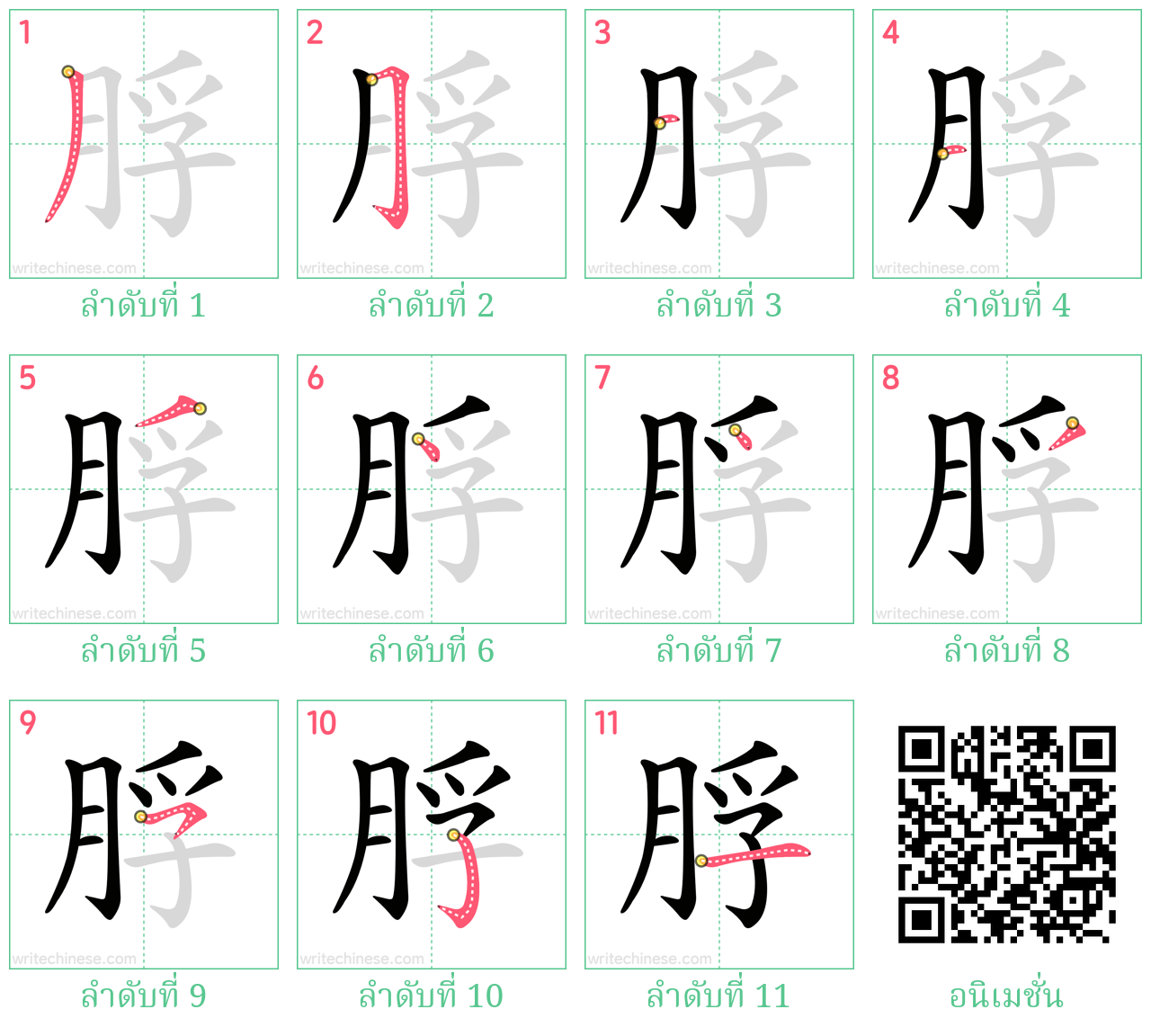 脬 ลำดับการเขียน