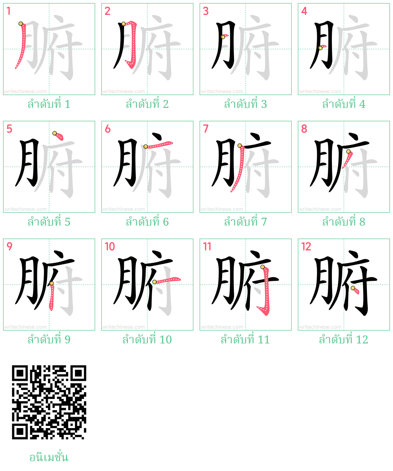 腑 ลำดับการเขียน