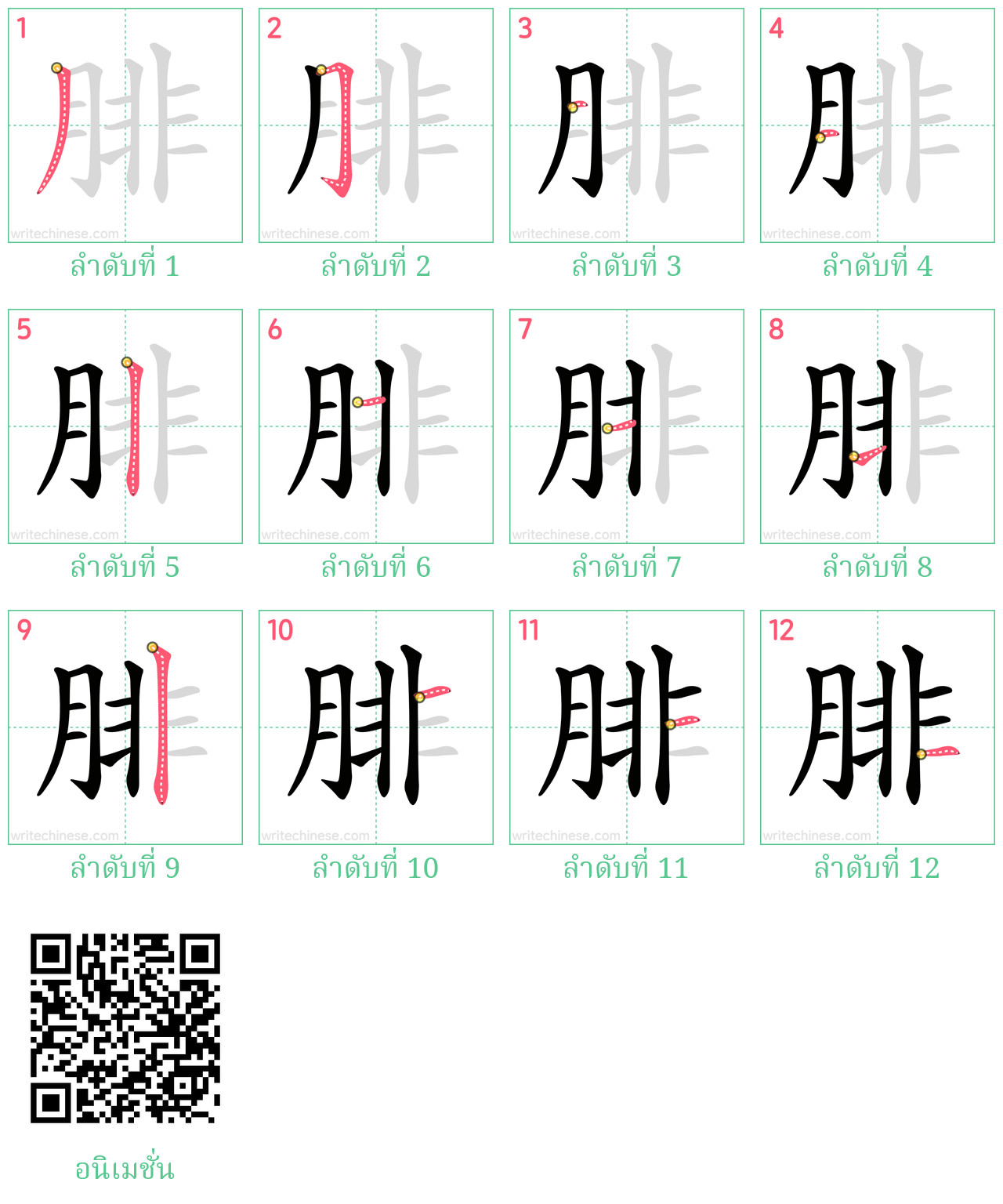 腓 ลำดับการเขียน