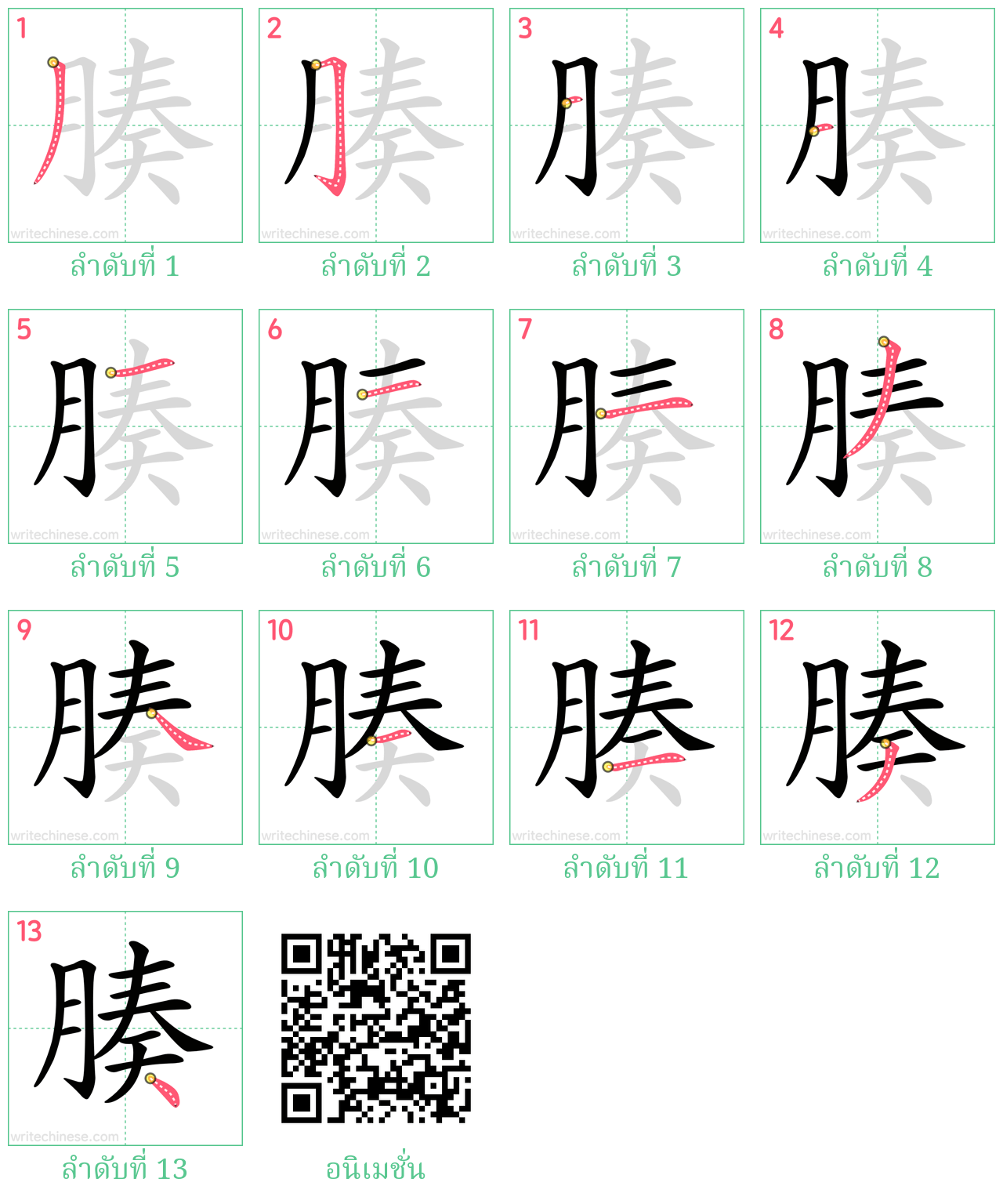 腠 ลำดับการเขียน