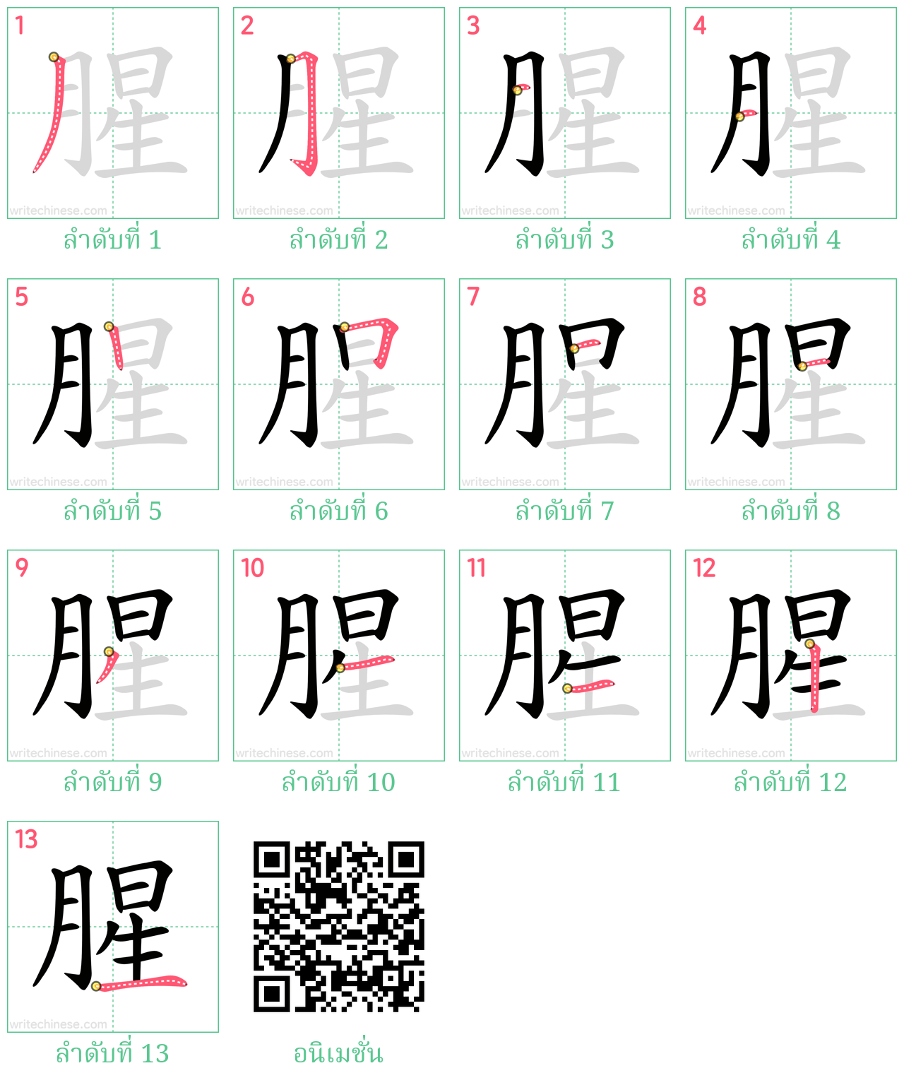 腥 ลำดับการเขียน