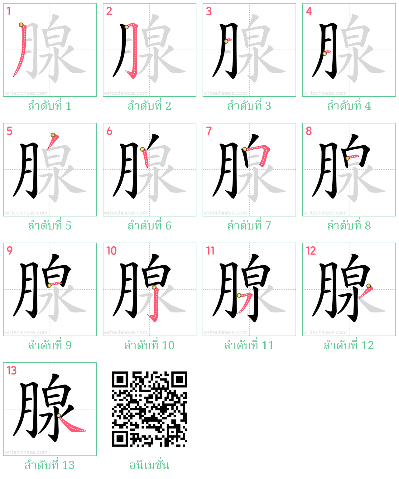 腺 ลำดับการเขียน