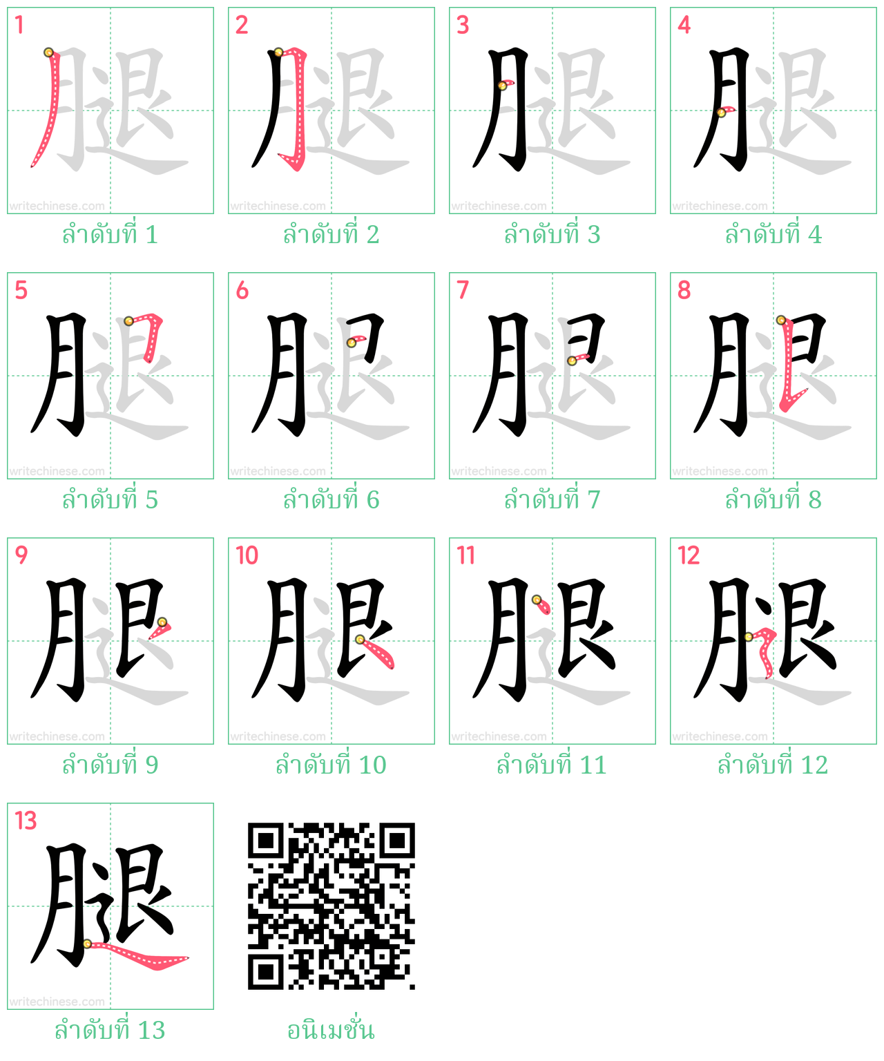 腿 ลำดับการเขียน