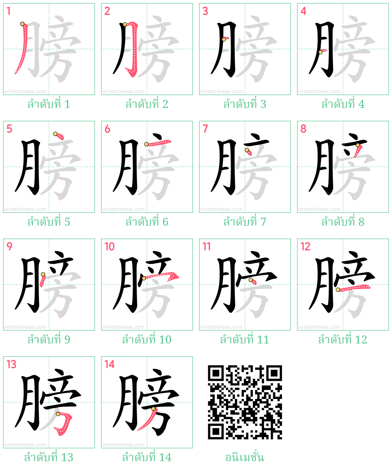 膀 ลำดับการเขียน