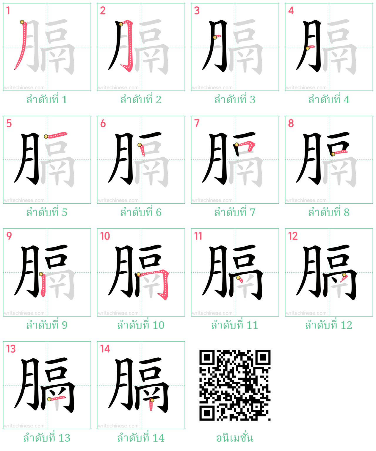 膈 ลำดับการเขียน